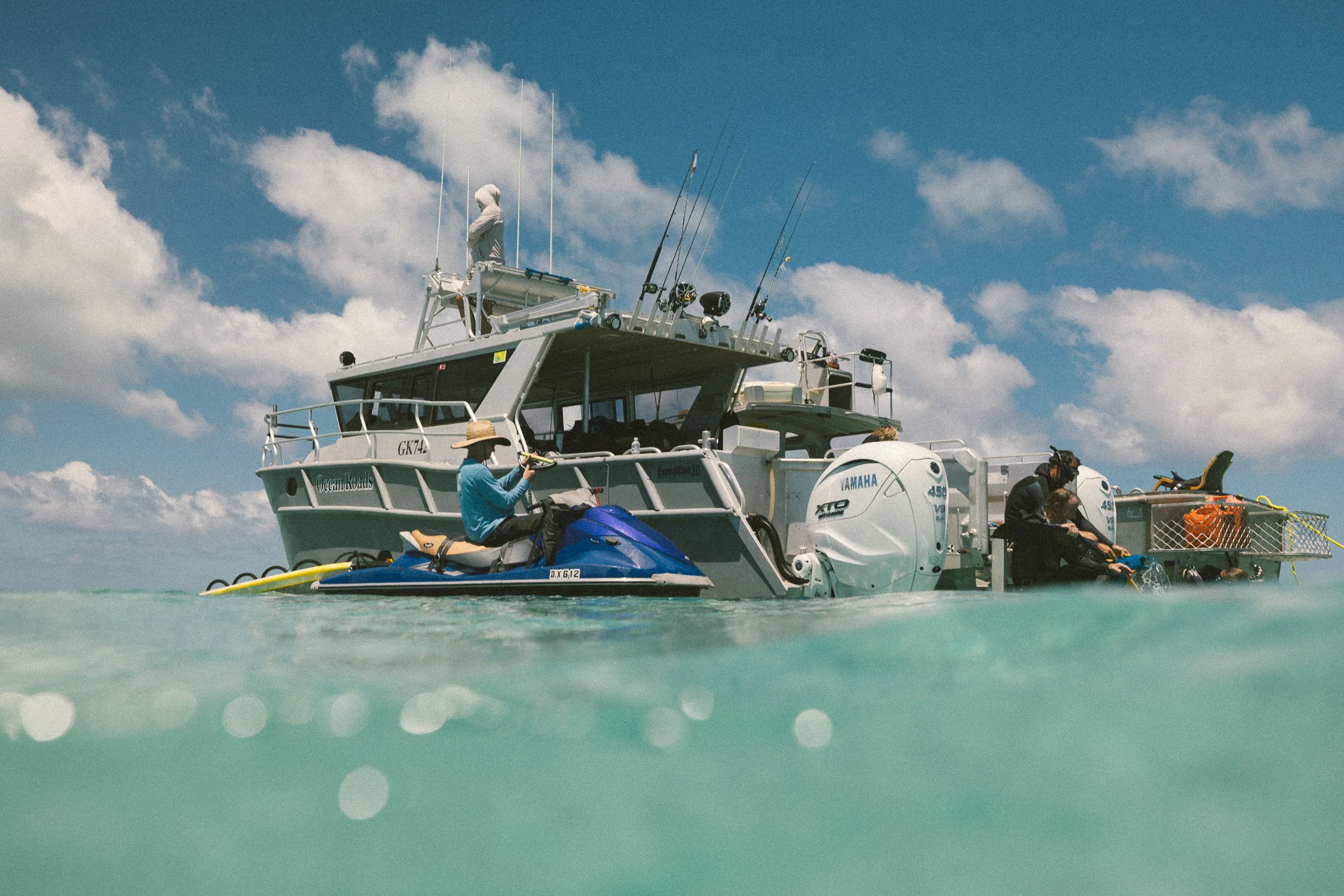 SHARK EYES-RYAN CHATFIELD-E_105866.jpg