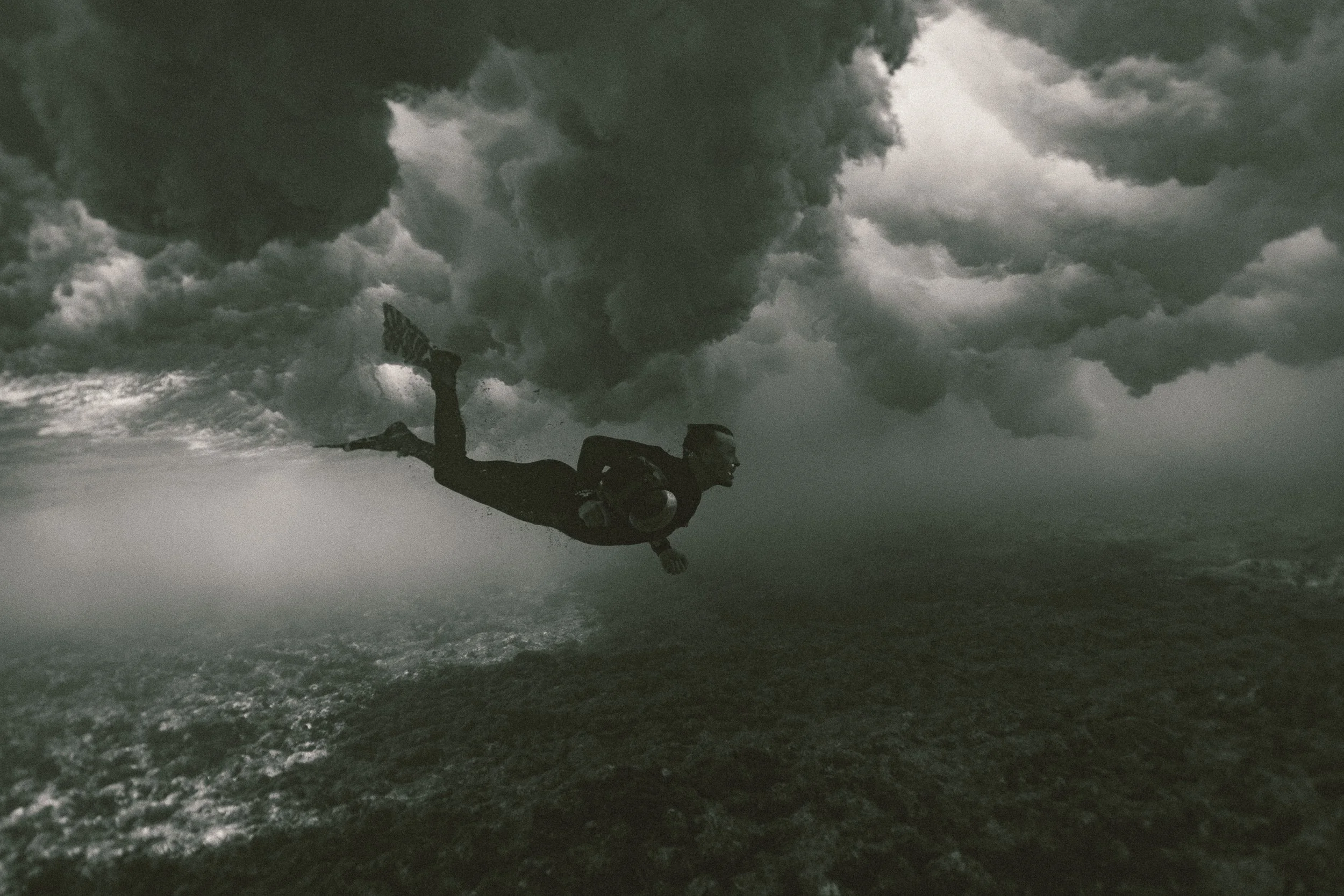 SHARK EYES-RYAN CHATFIELD-E_105999.jpg