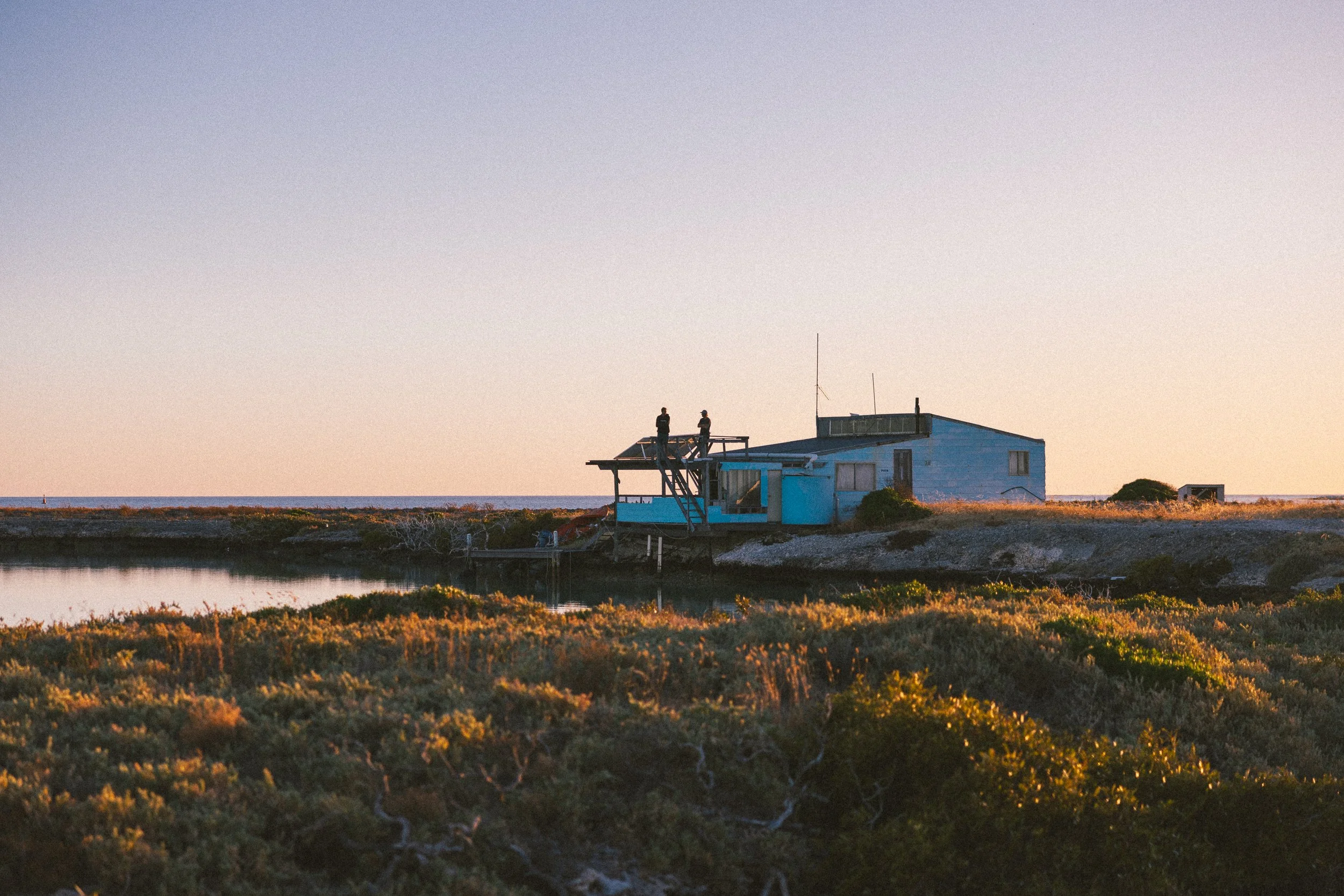 SHARK EYES-RYAN CHATFIELD-COM_5898.jpg