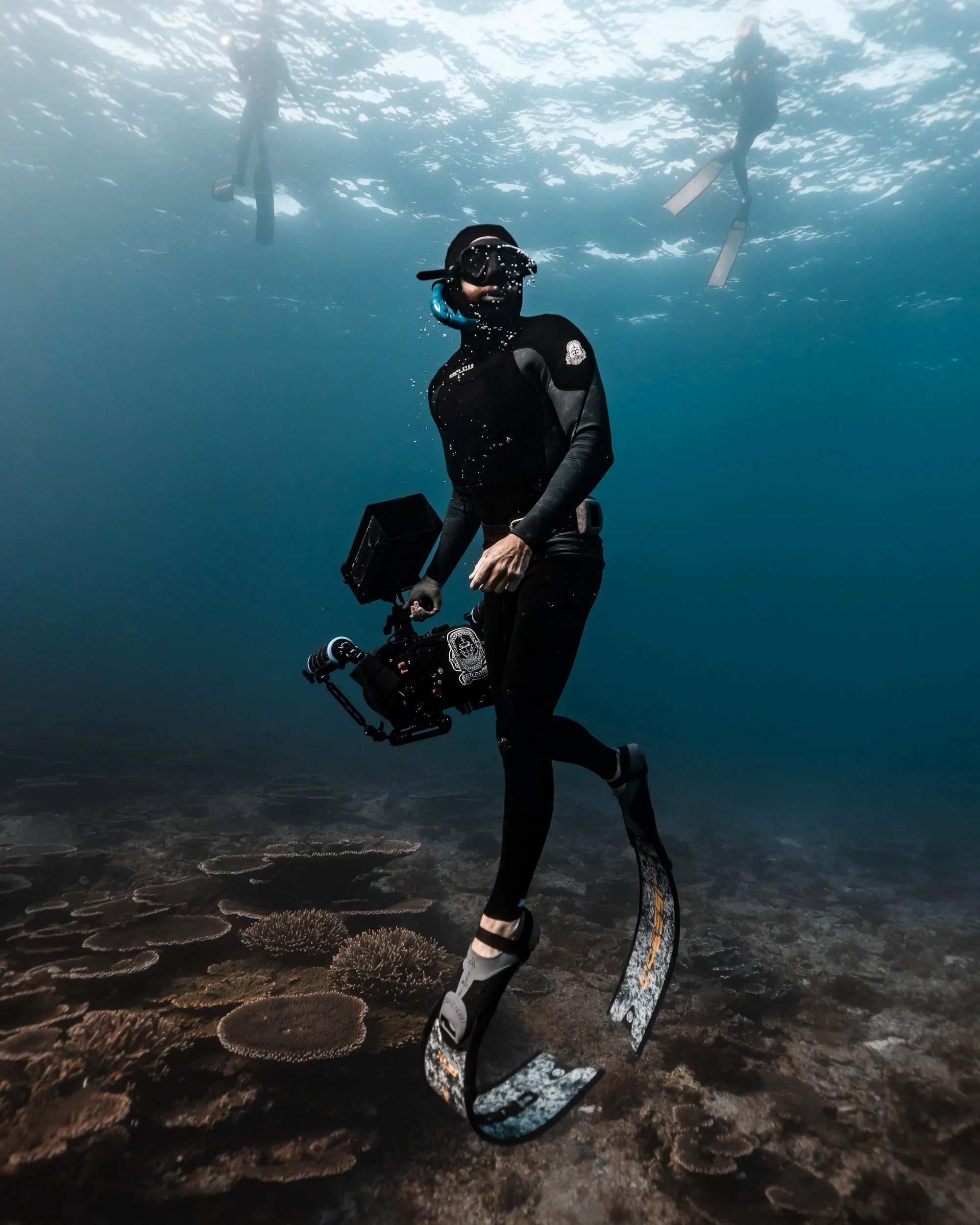 SHARK EYES-RYAN CHATFIELD-E_105665.jpg