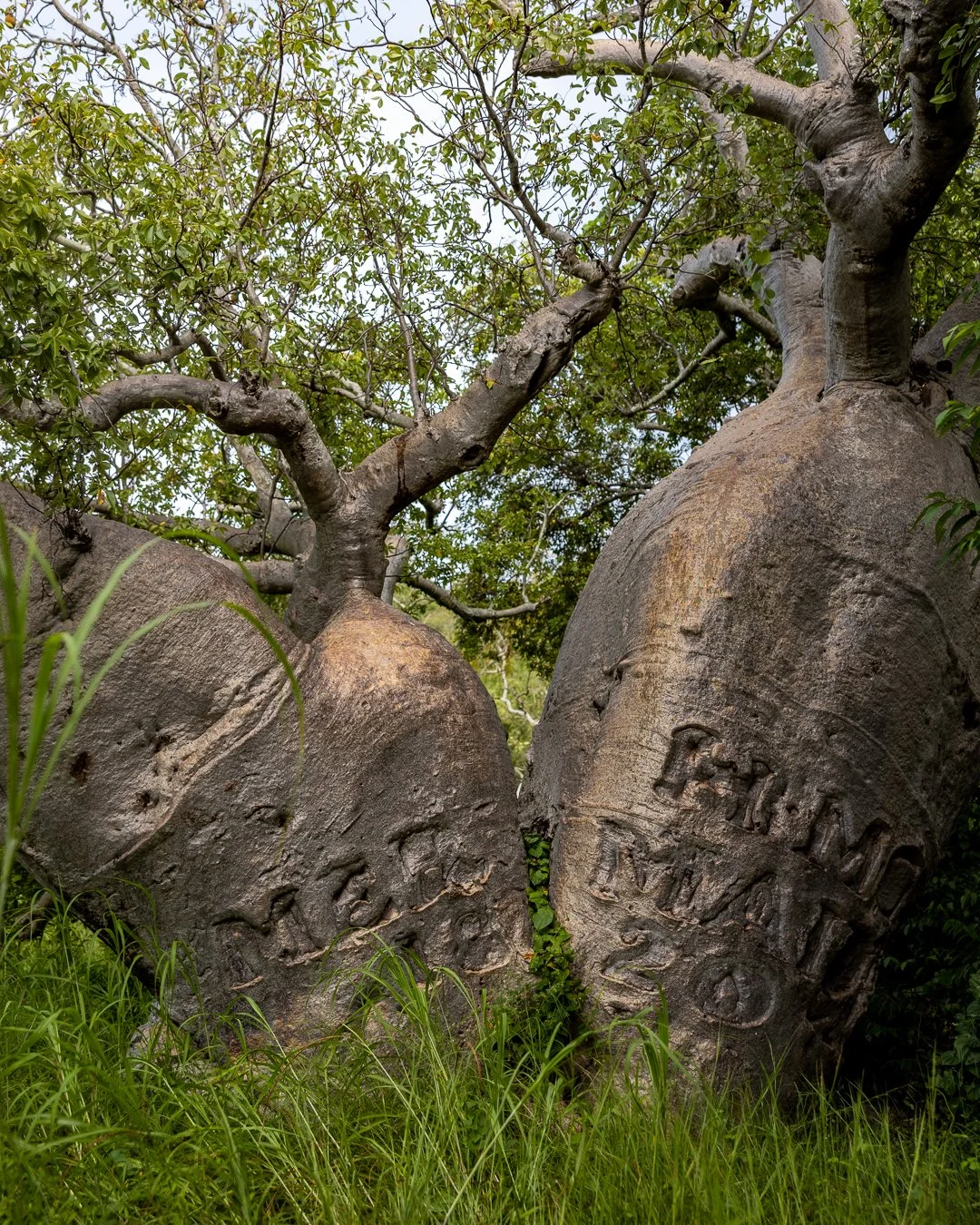 _OM_6784-KIMBERLEY QUEST-COMMOTION MEDIA.jpg