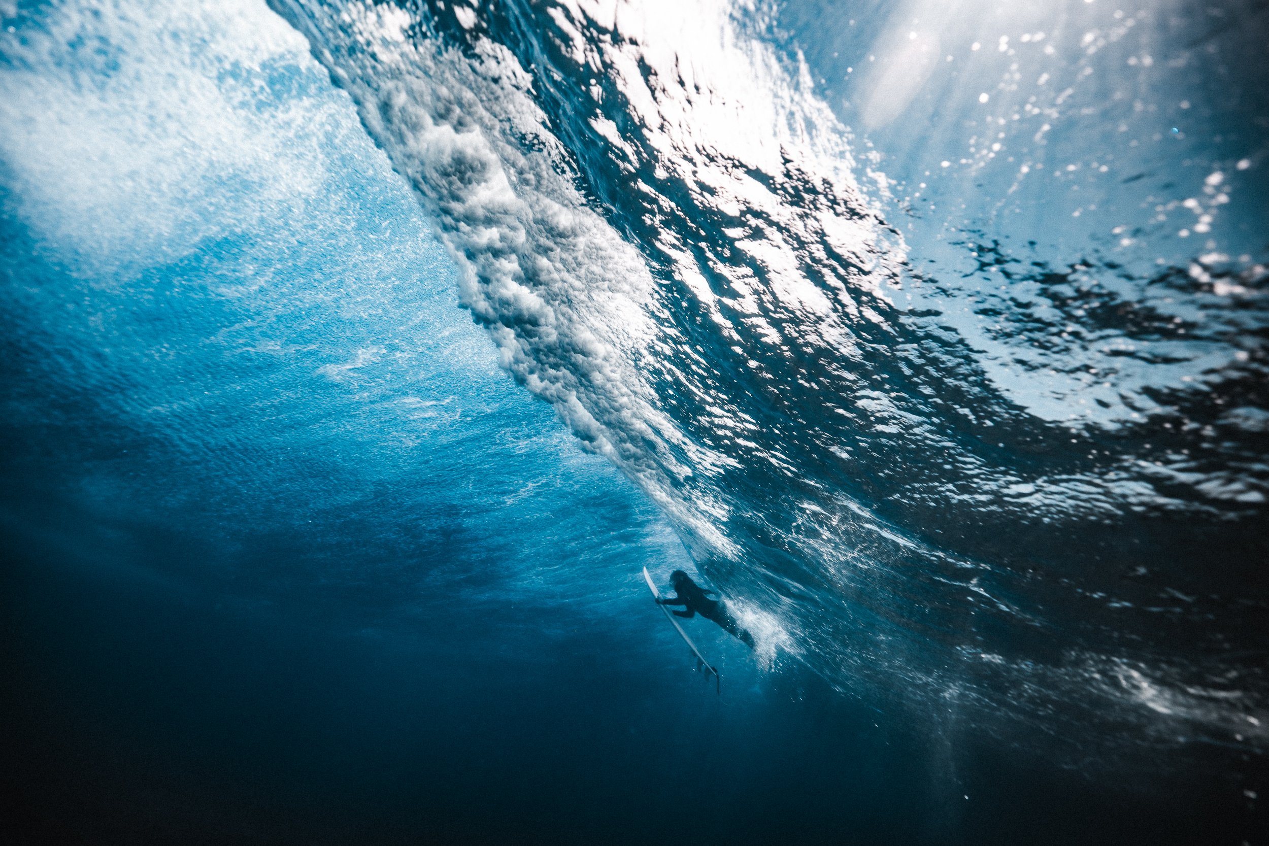 SHARK EYES-RYAN CHATFIELD-E_106292.jpg