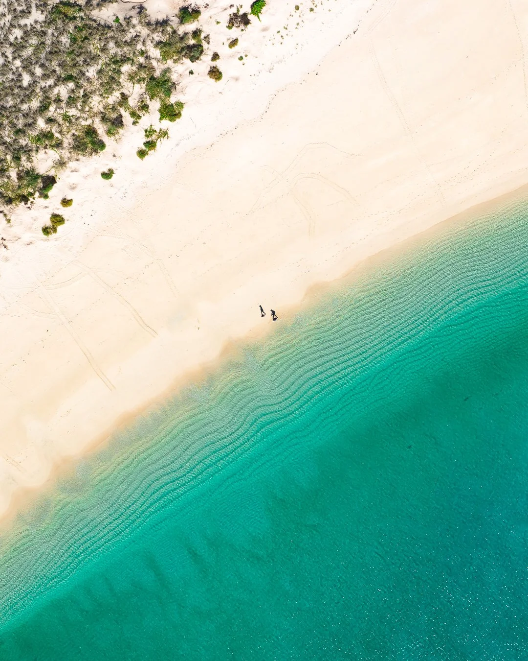 DJI_0511-KIMBERLEY QUEST- COMMOTION MEDIA.jpg