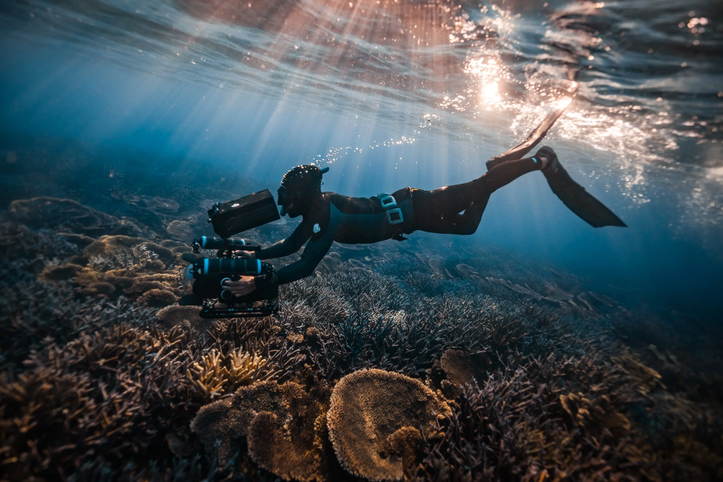 SHARK EYES-RYAN CHATFIELD-E_105758.jpg
