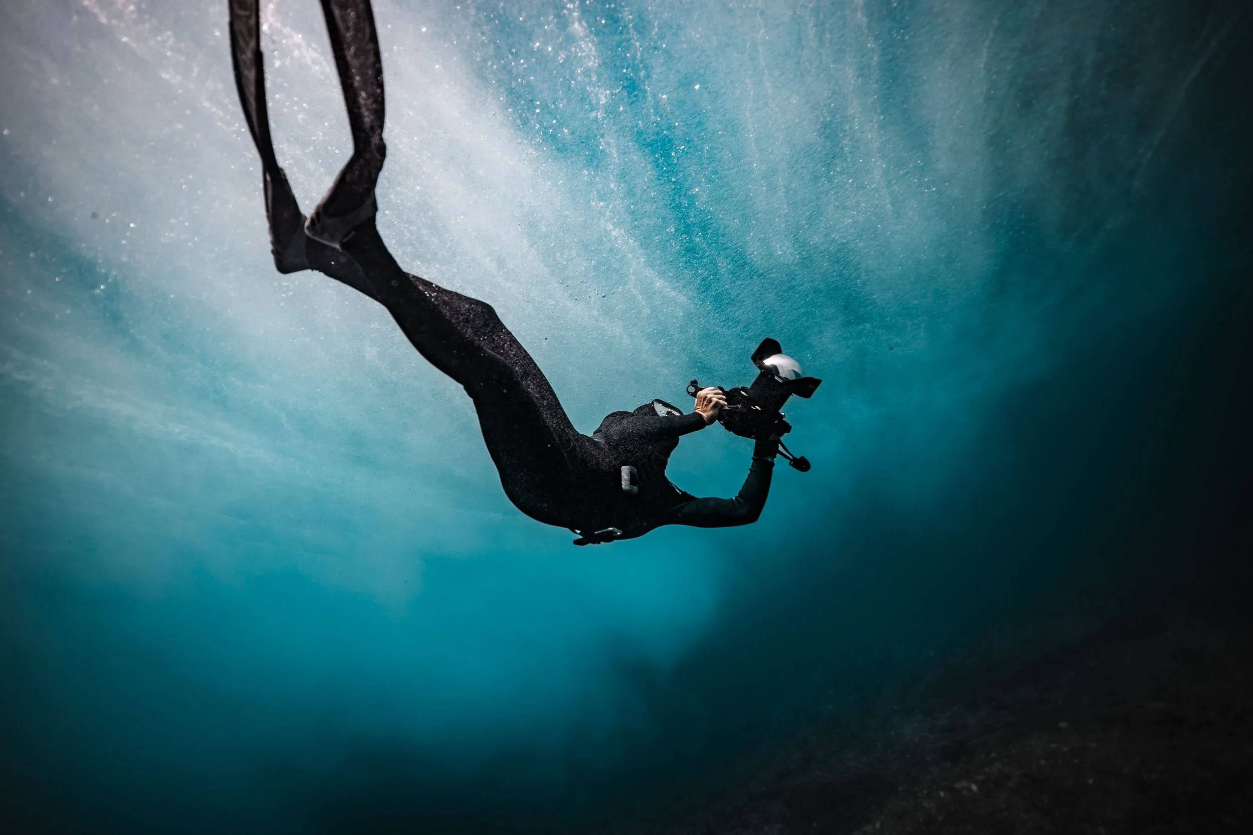 SHARK EYES-RYAN CHATFIELD-E_106201.jpg