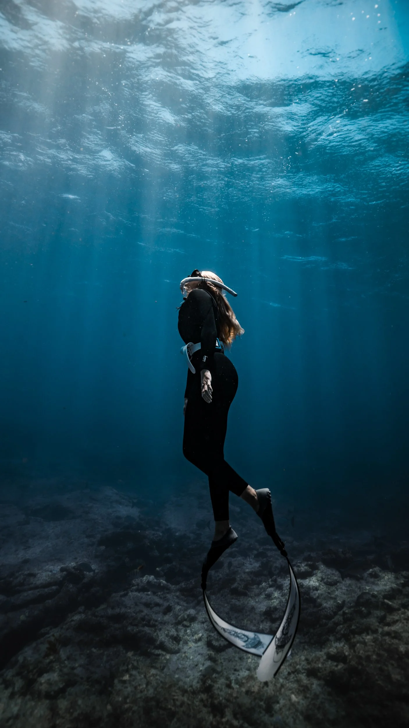 SHARK EYES-RYAN CHATFIELD-E_106532.jpg