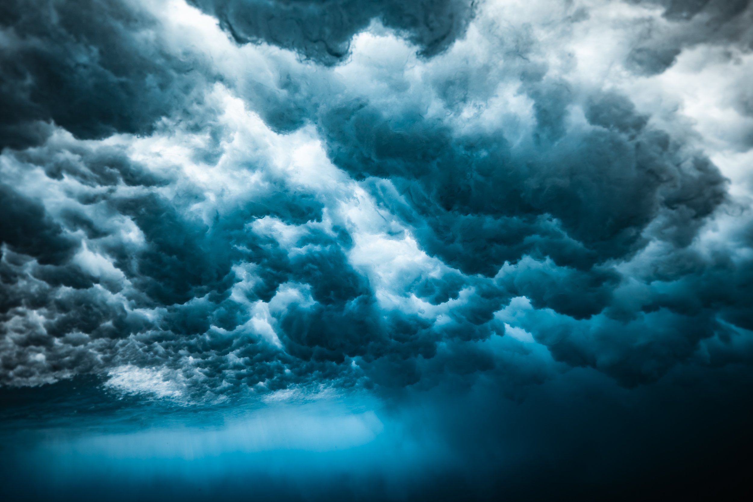 SHARK EYES-RYAN CHATFIELD-E_106192.jpg