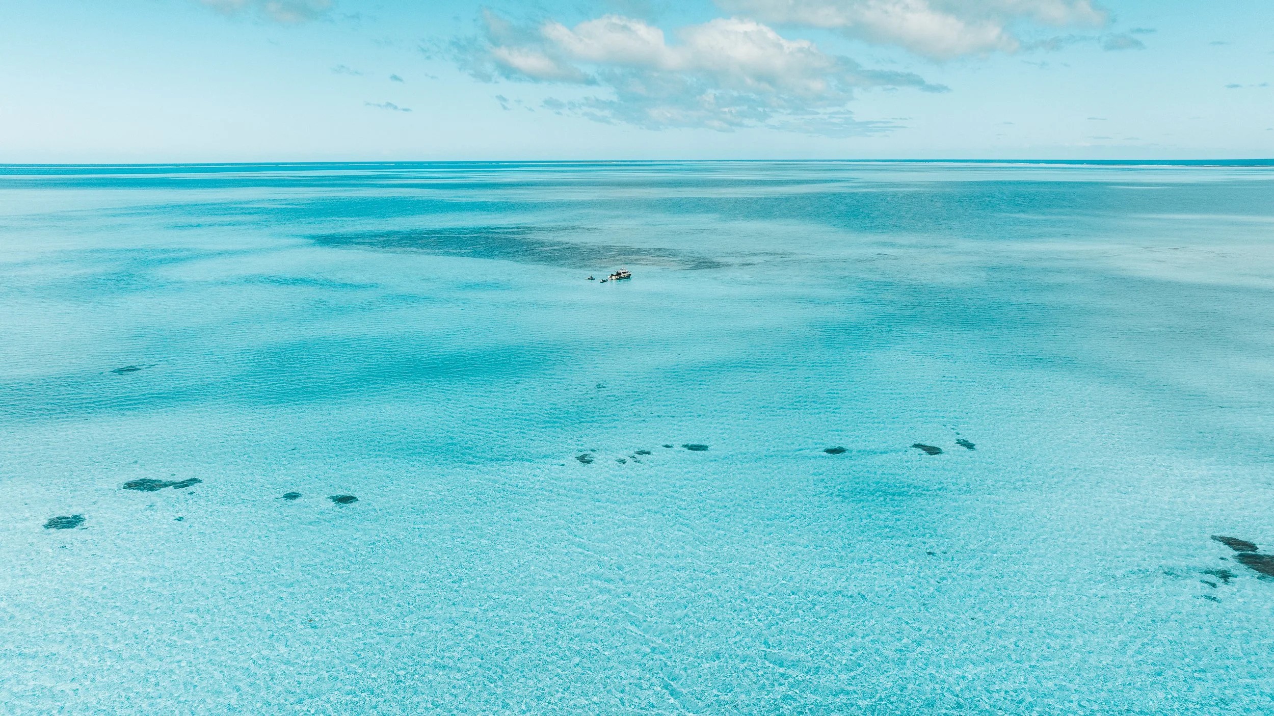 SHARK EYES-RYAN CHATFIELD-DJI_20251026130938_0005_D.jpg