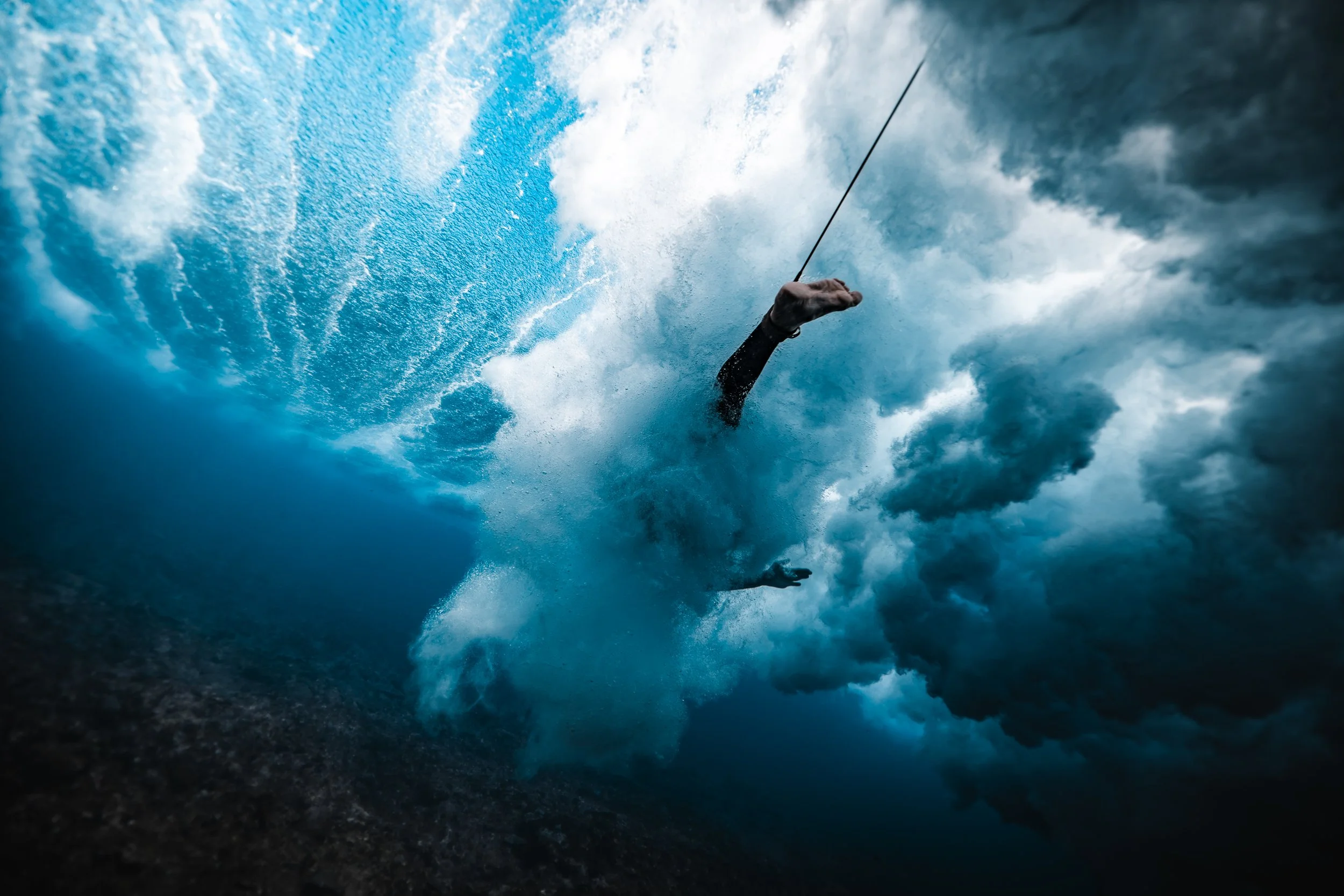 SHARK EYES-RYAN CHATFIELD-E_106366.jpg