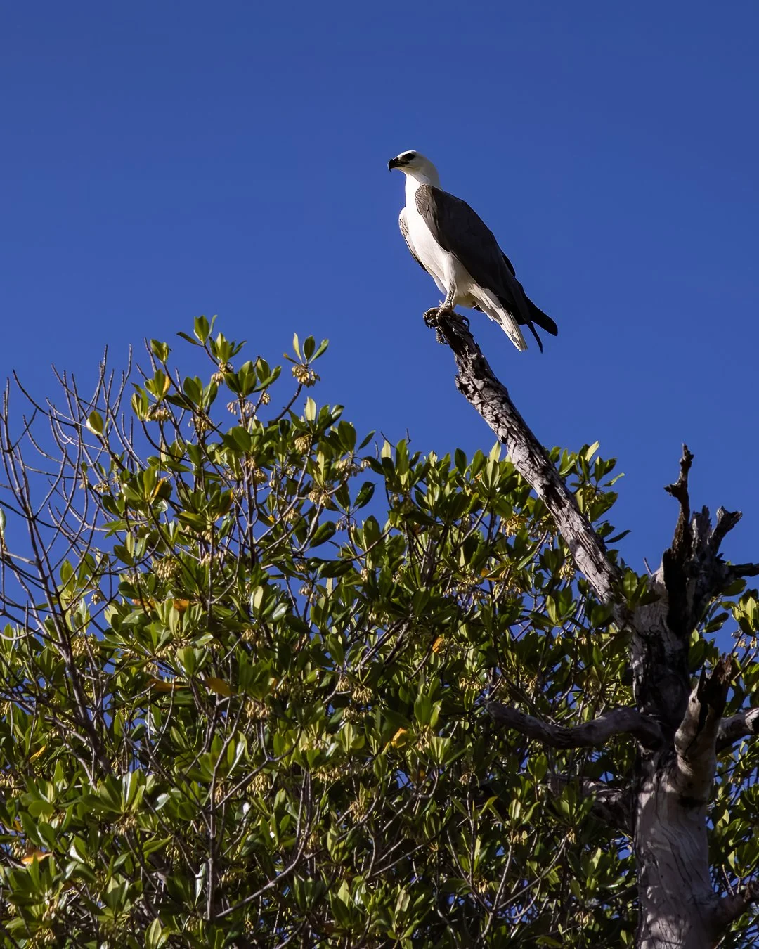 _MO_4712-KIMBERLEY QUEST- COMMOTION MEDIA.jpg