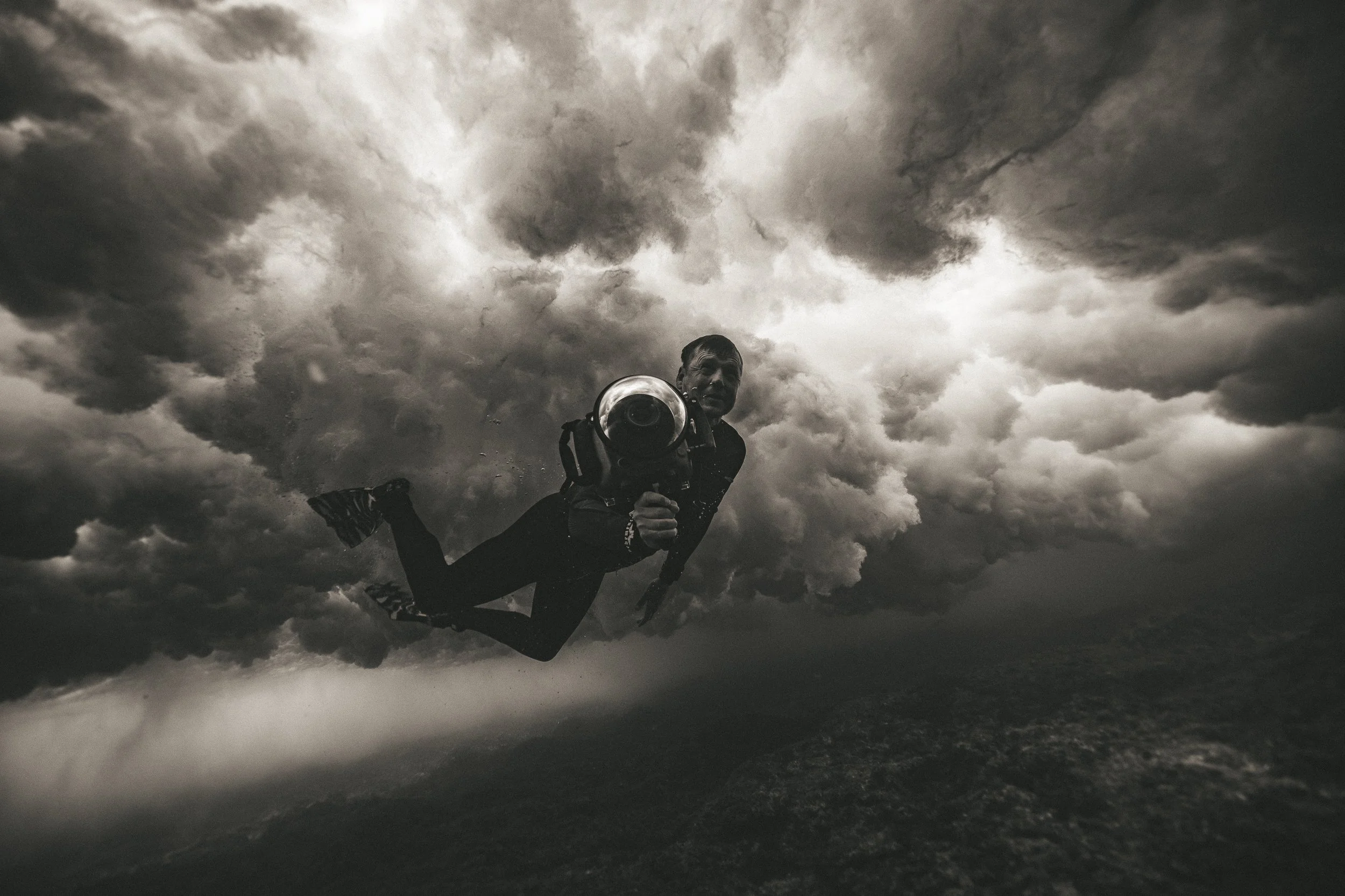 SHARK EYES-RYAN CHATFIELD-E_106099-2.jpg