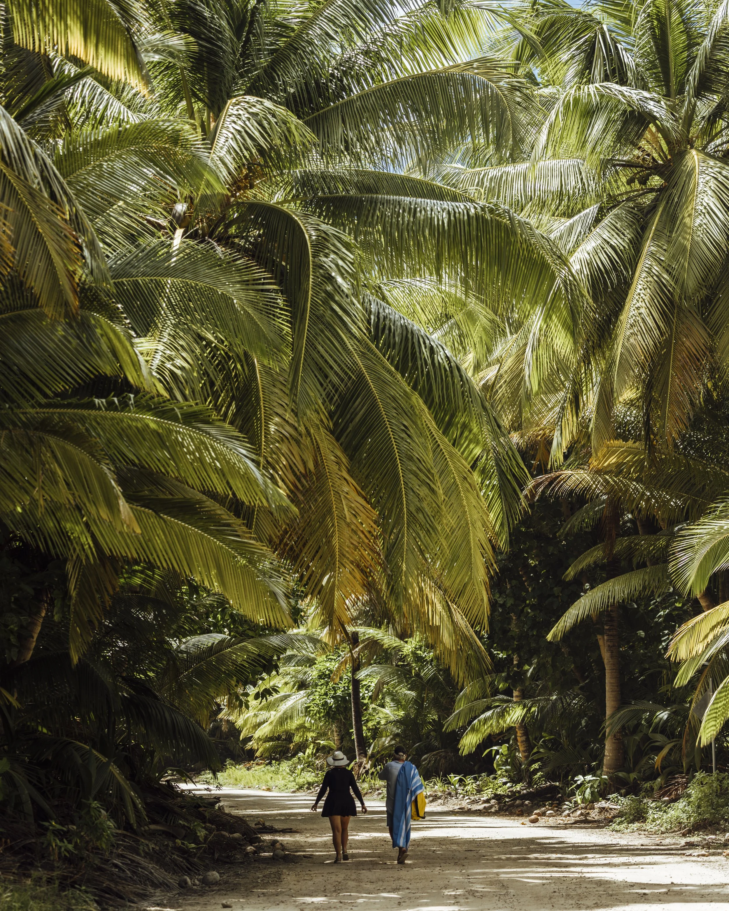 COCOS2025_COMMOTION MEDIA_COM_8565.jpg