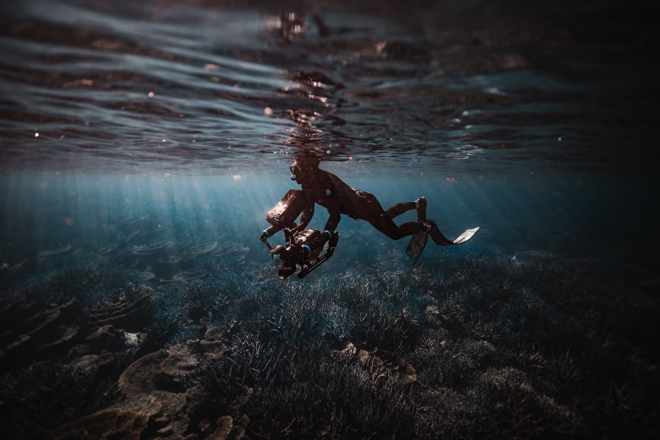 SHARK EYES-RYAN CHATFIELD-E_106544.jpg
