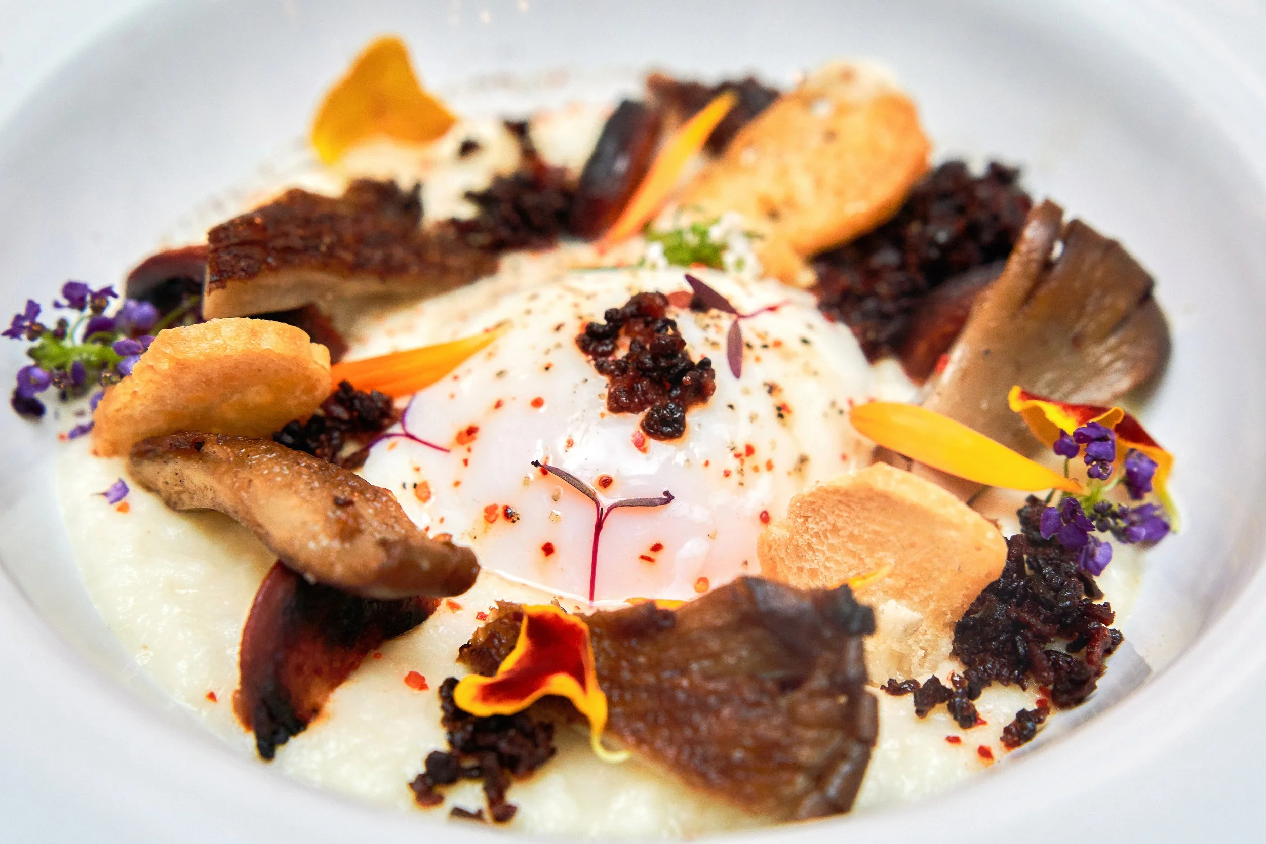 Oeuvre gastronomique avec œuf poché, champignons, chips, fleurs comestibles, et garnitures, présenté dans une assiette blanche.