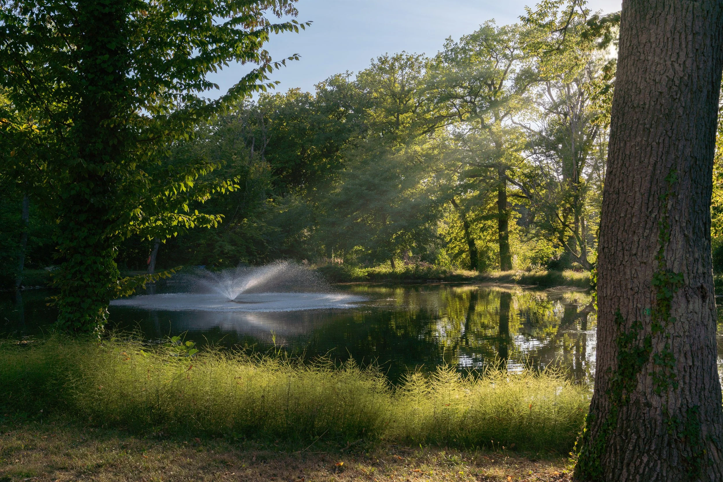 Domaine de la Résidence