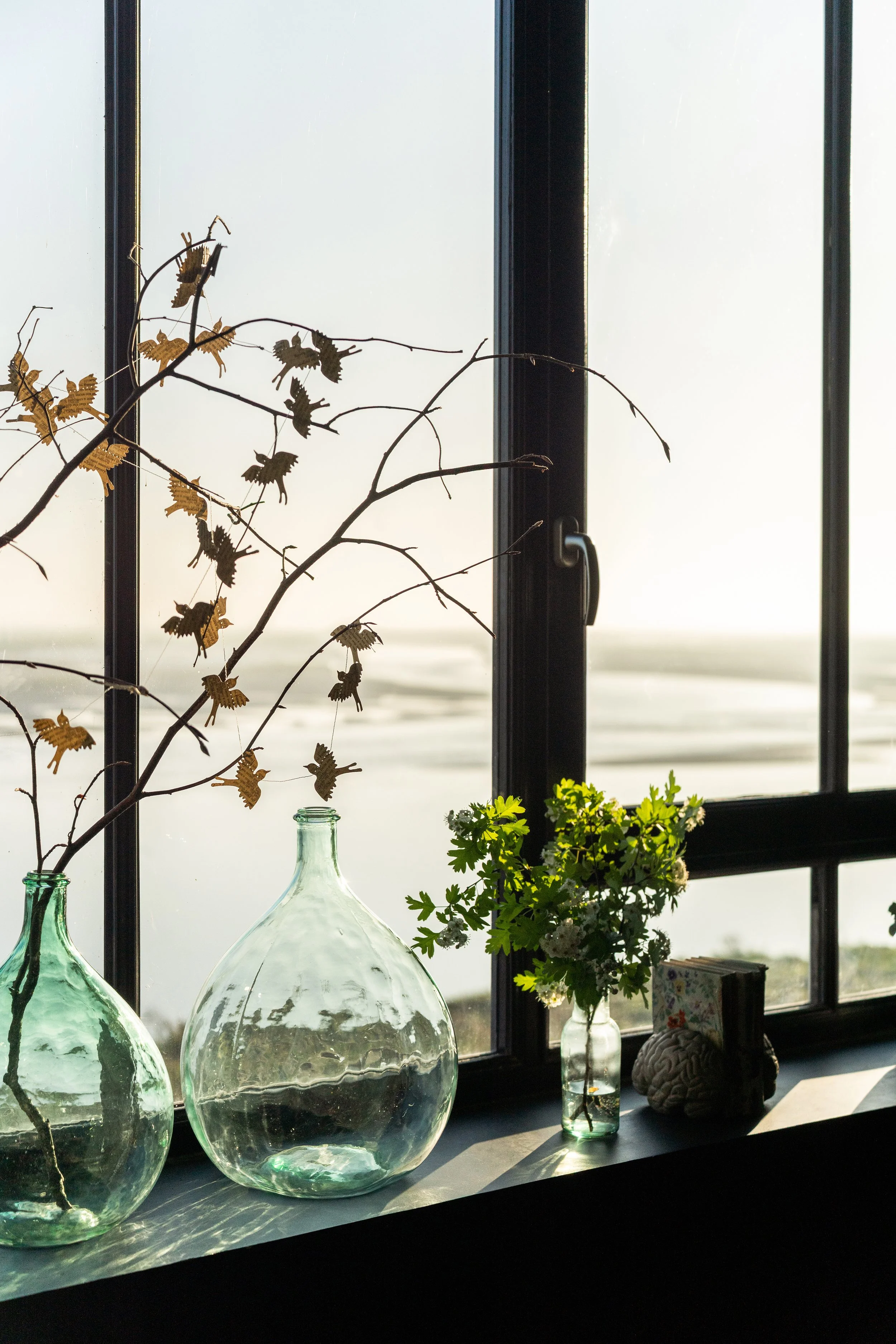 Vases en verre avec des branches et des fleurs sur une fenêtre ensoleillée