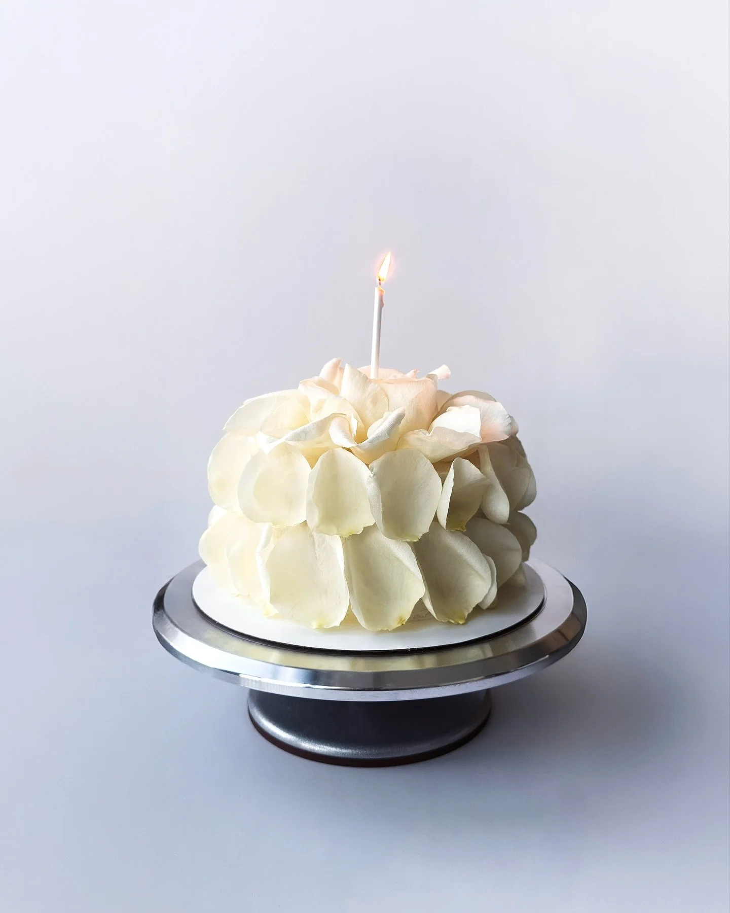 wish incoming -

ultimate vanilla cake in white for alayna 🧊 finding that playing with white roses might just be my peace