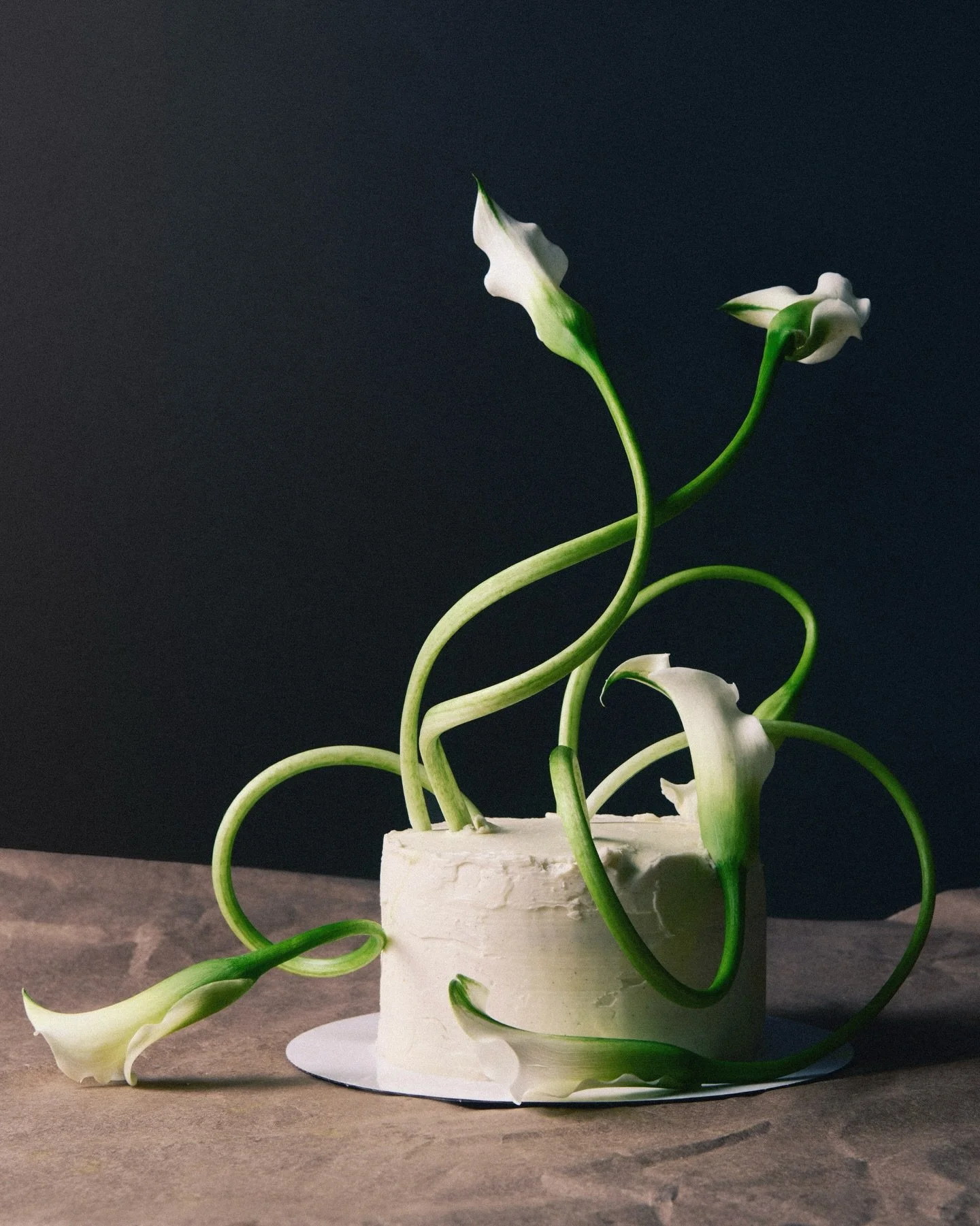 a fever dream 🤍🤍

all my friends are beyond talented :&rsquo;) !!! so incredibly fun getting to make w/ @aphamphotos @seeking_floral_arrangements