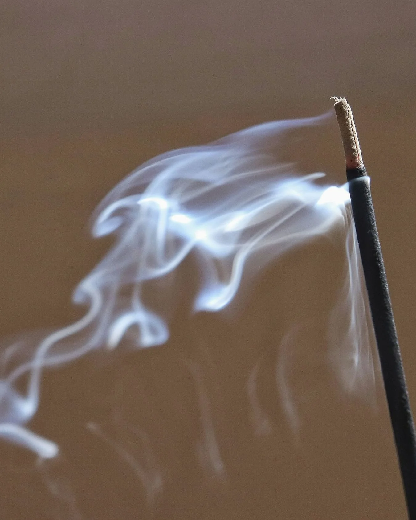 &quot;Yoga is the perfect opportunity to be in the present moment and let your mind take a break from its usual endless chatter.&quot;

Yoga ist die perfekte Gelegenheit, im gegenw&auml;rtigen Moment anzukommen &ndash; und dem Geist eine Pause von se