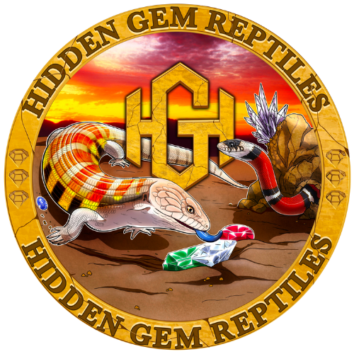 Logo for Hidden Gem Reptiles featuring a desert landscape with a sunset, a snake, a lizard, and a gecko, surrounded by a gold ring with the company name.
