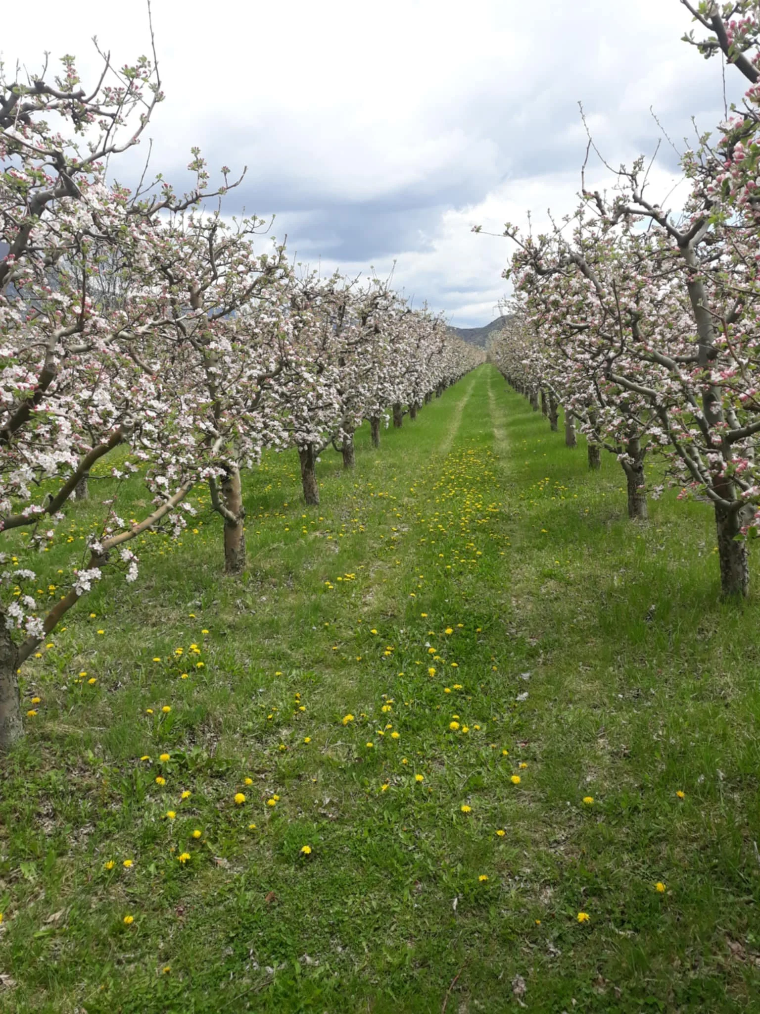 65aa3f10-02ea-457c-8243-14ef301df00a.jfif