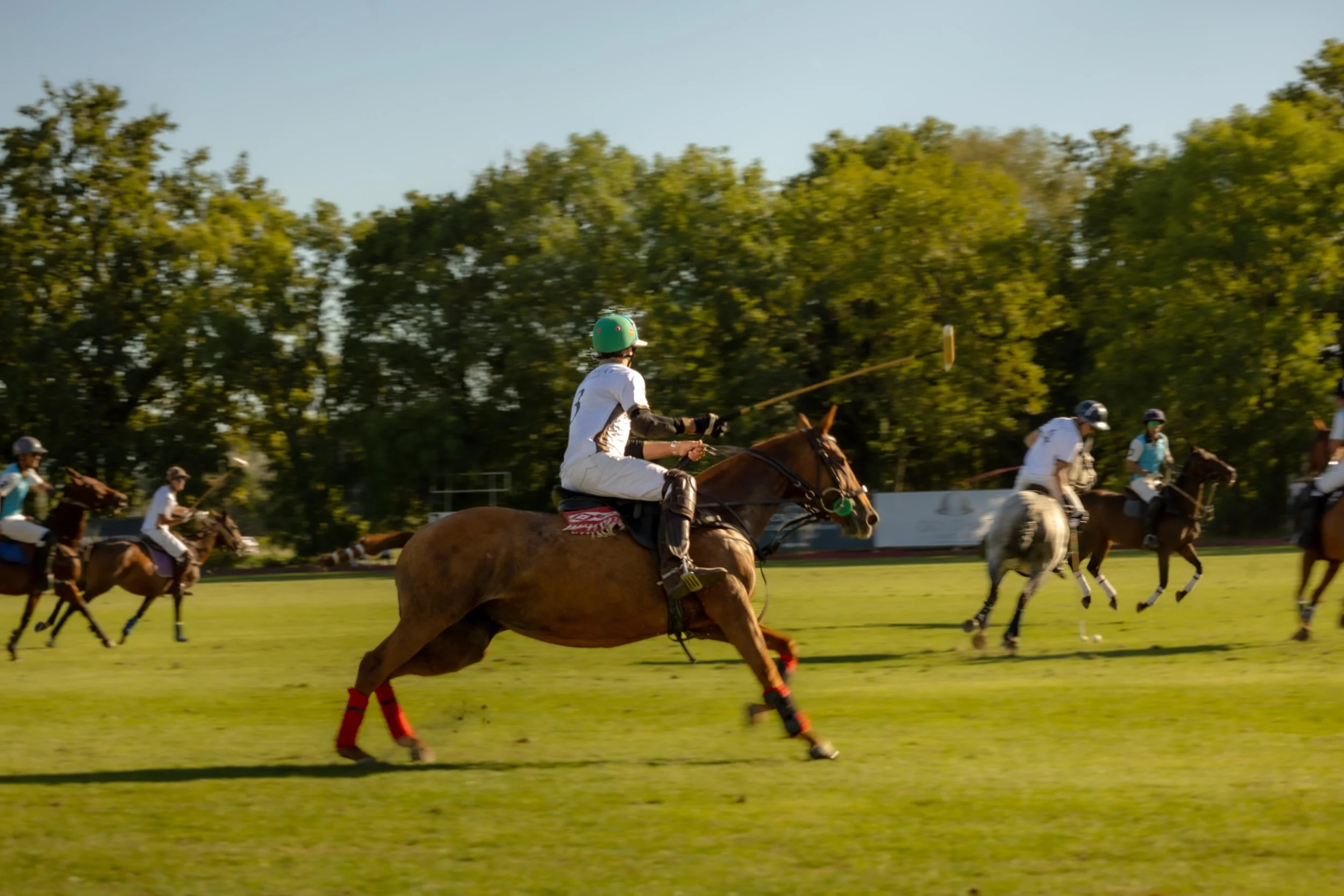 L.RAPHAEL-PoloGeneva-RoelPaffen109.jpg