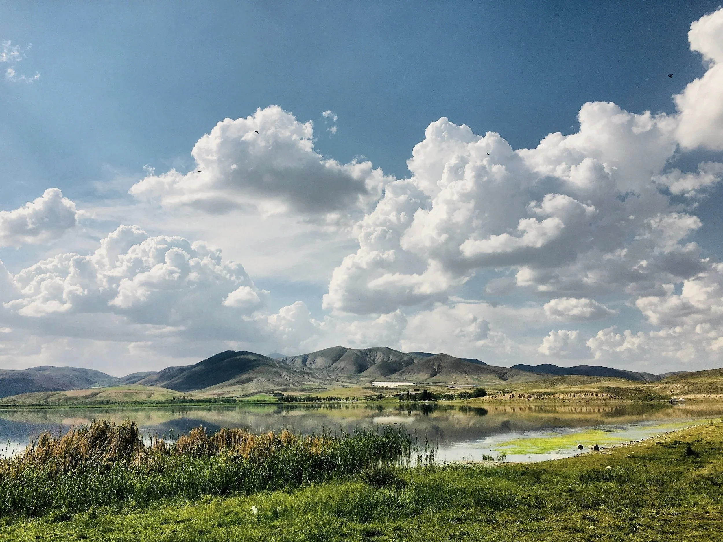 Mindfulness and the Climate of the Mind