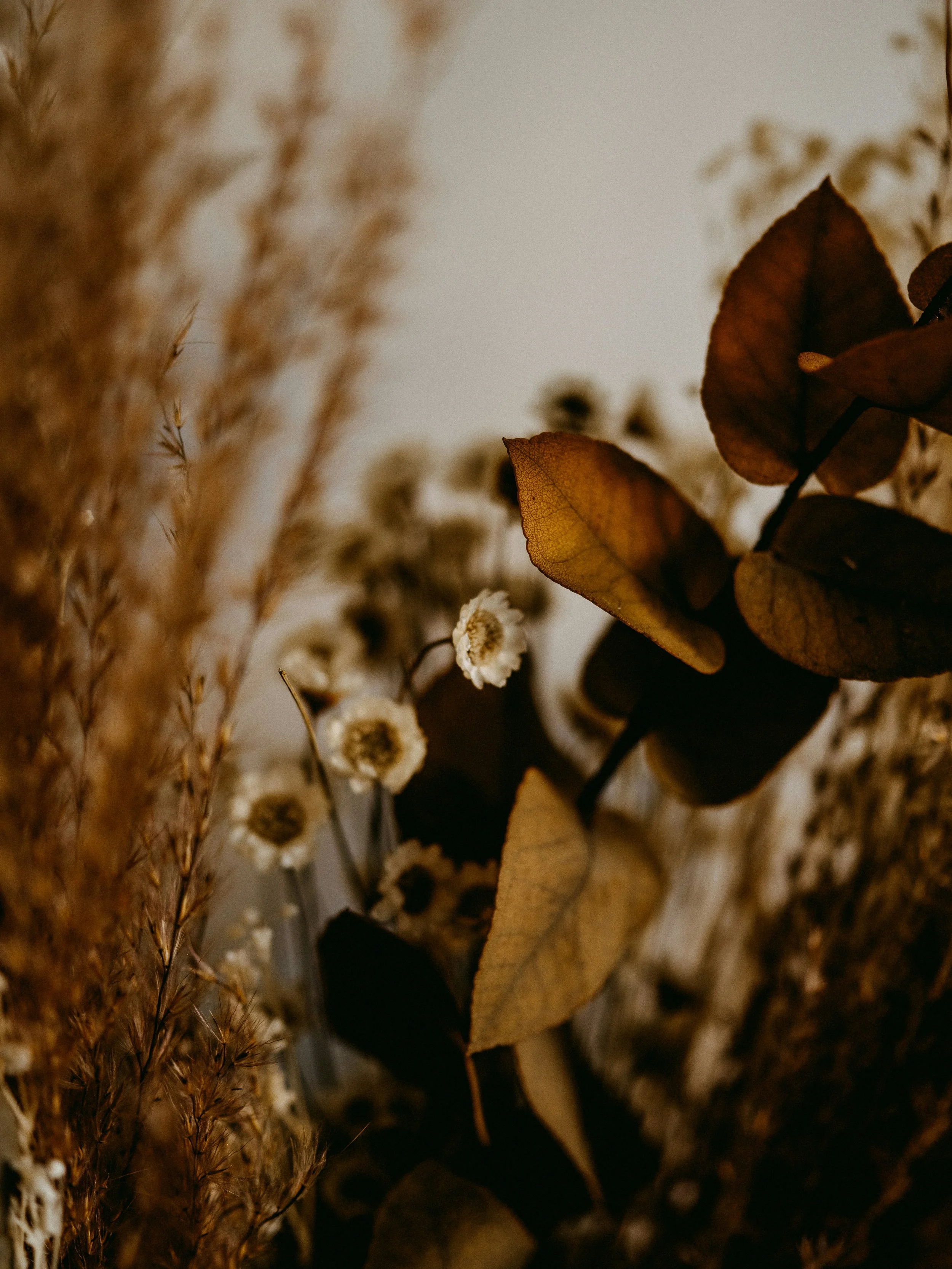 Close-up of dried autumn leaves and small white flowers, with a blurred background in warm brown tones.