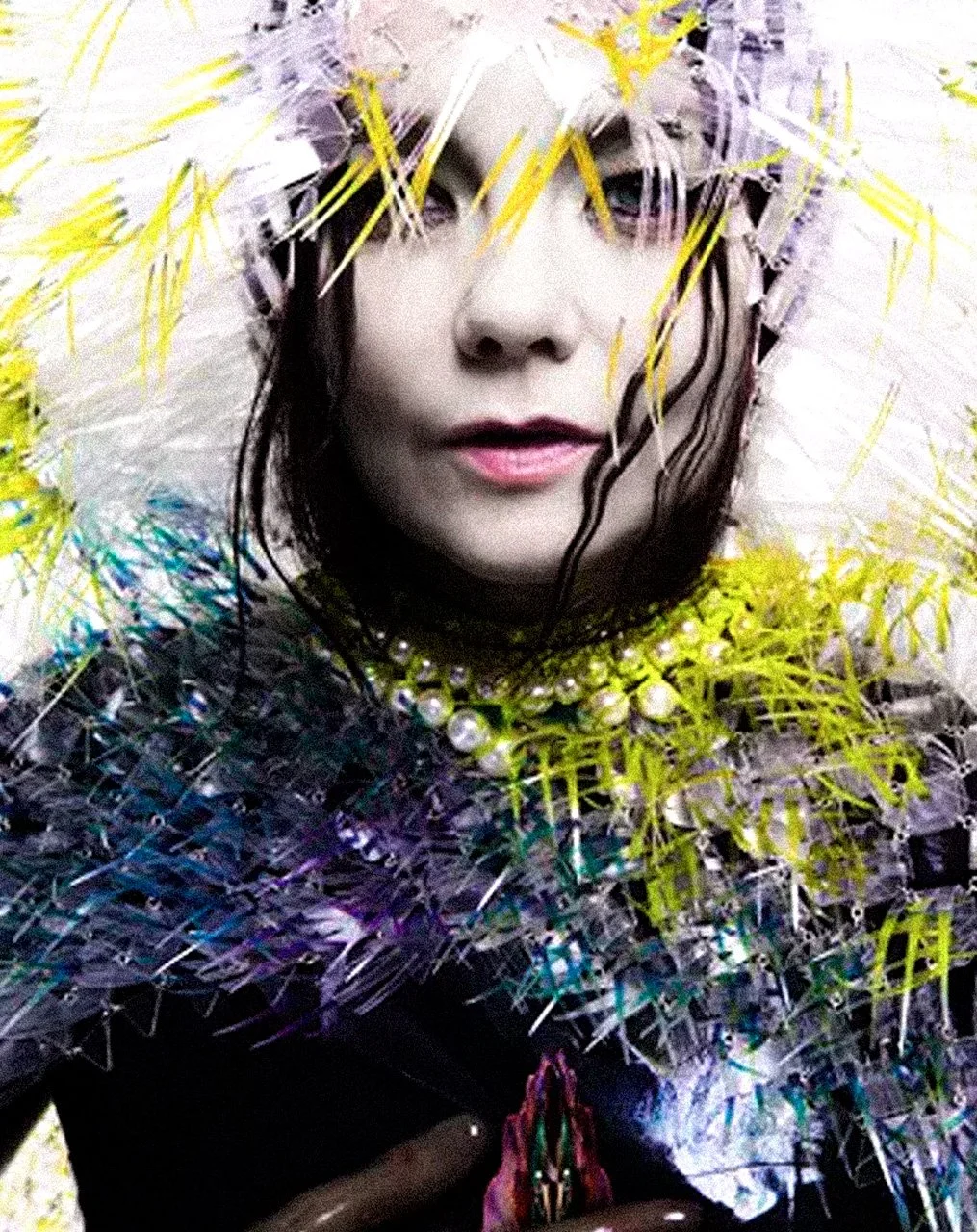 bjork_dueto_010.jpg
