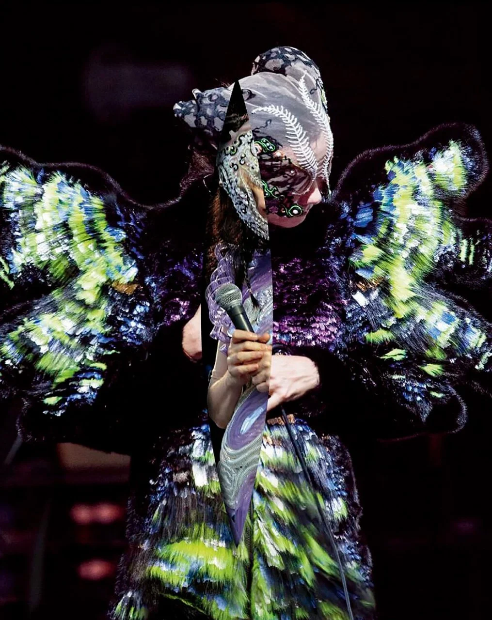 bjork_dueto_009.jpg