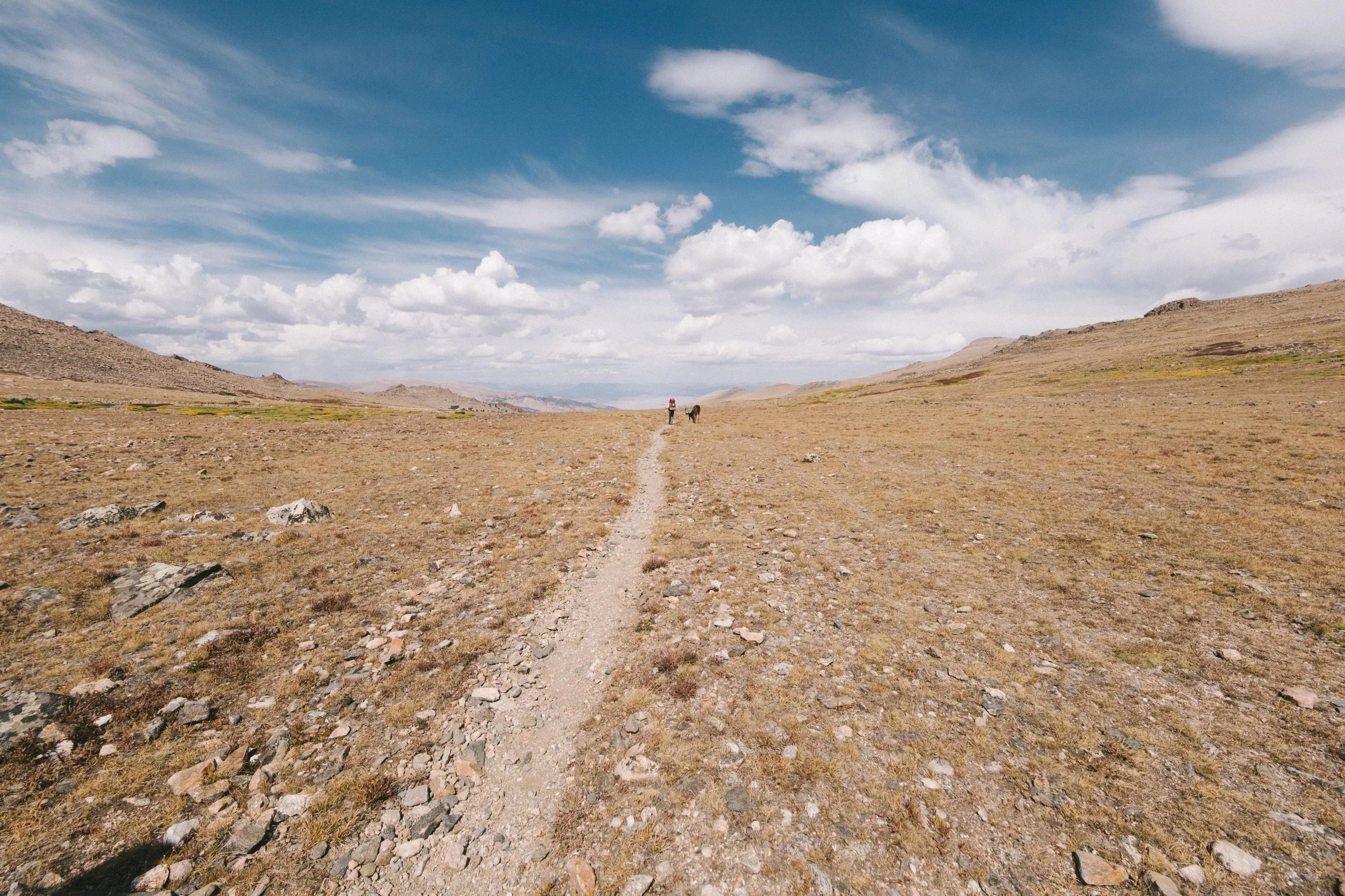 A vast, arid landscape with a dirt trail, brown rocky terrain, distant mountains, and a blue sky with scattered clouds, with a hiker and llama.