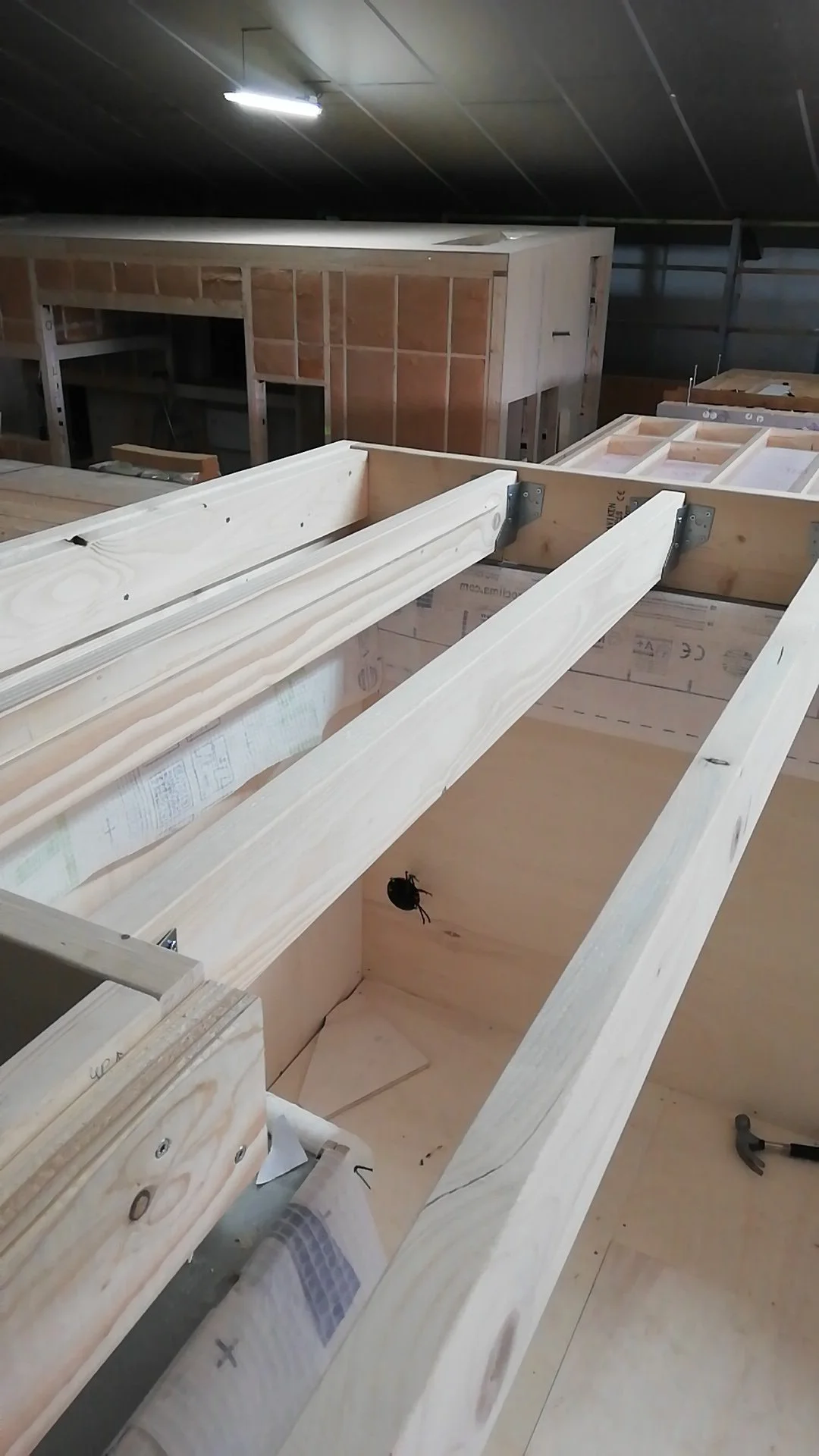 IMG-20221010-WA0000.jpeg
