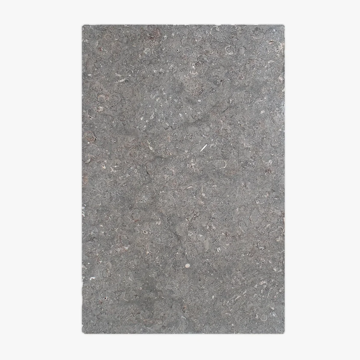 Caracas Blue Antiqued Limestone