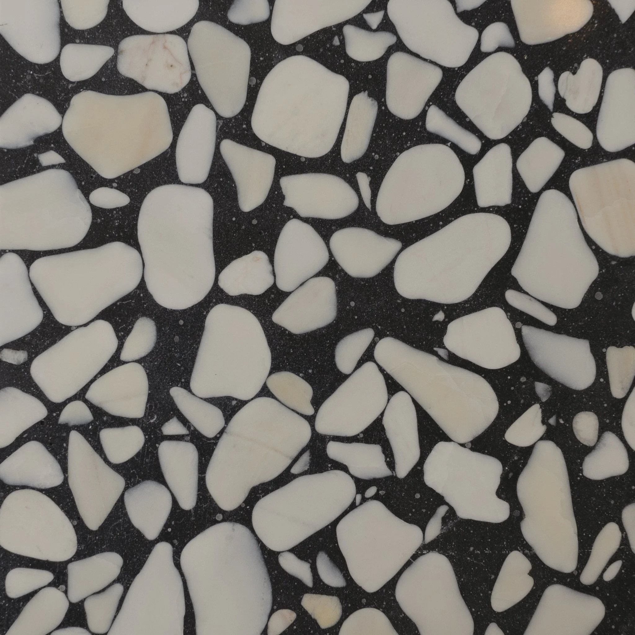Nero E Bianco 3/8"