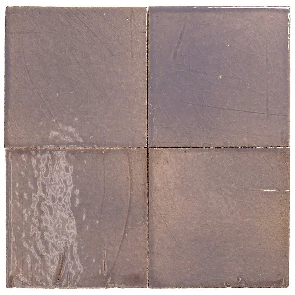 clara-tierra-madre-fossil-6x6-016.jpg