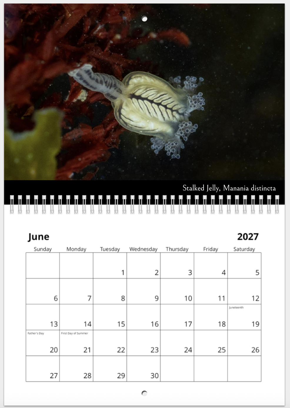 Screenshot 2026-10-29 at 10.26.49 AM.png