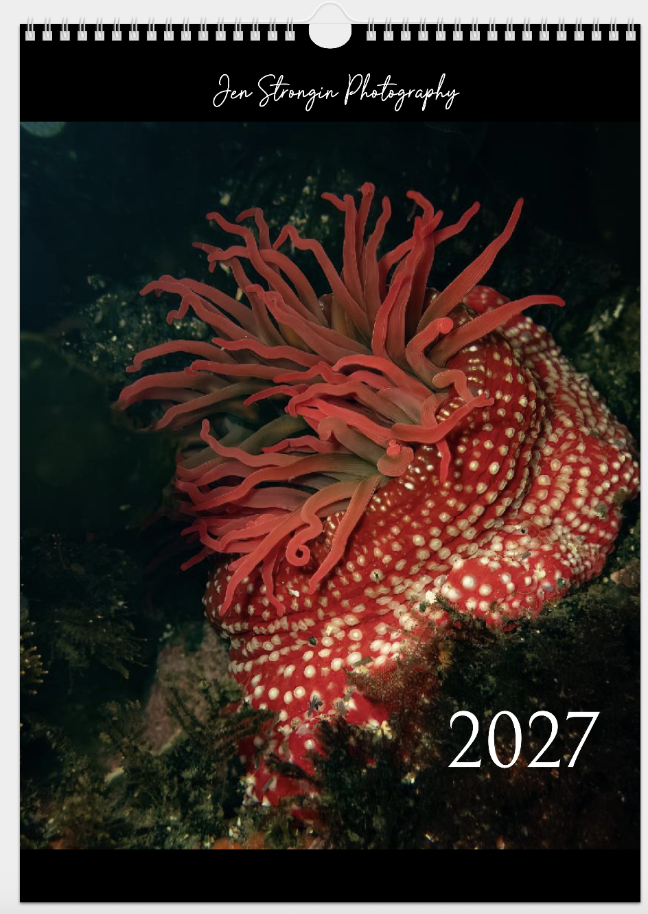 Screenshot 2026-10-29 at 2.05.28 PM.png