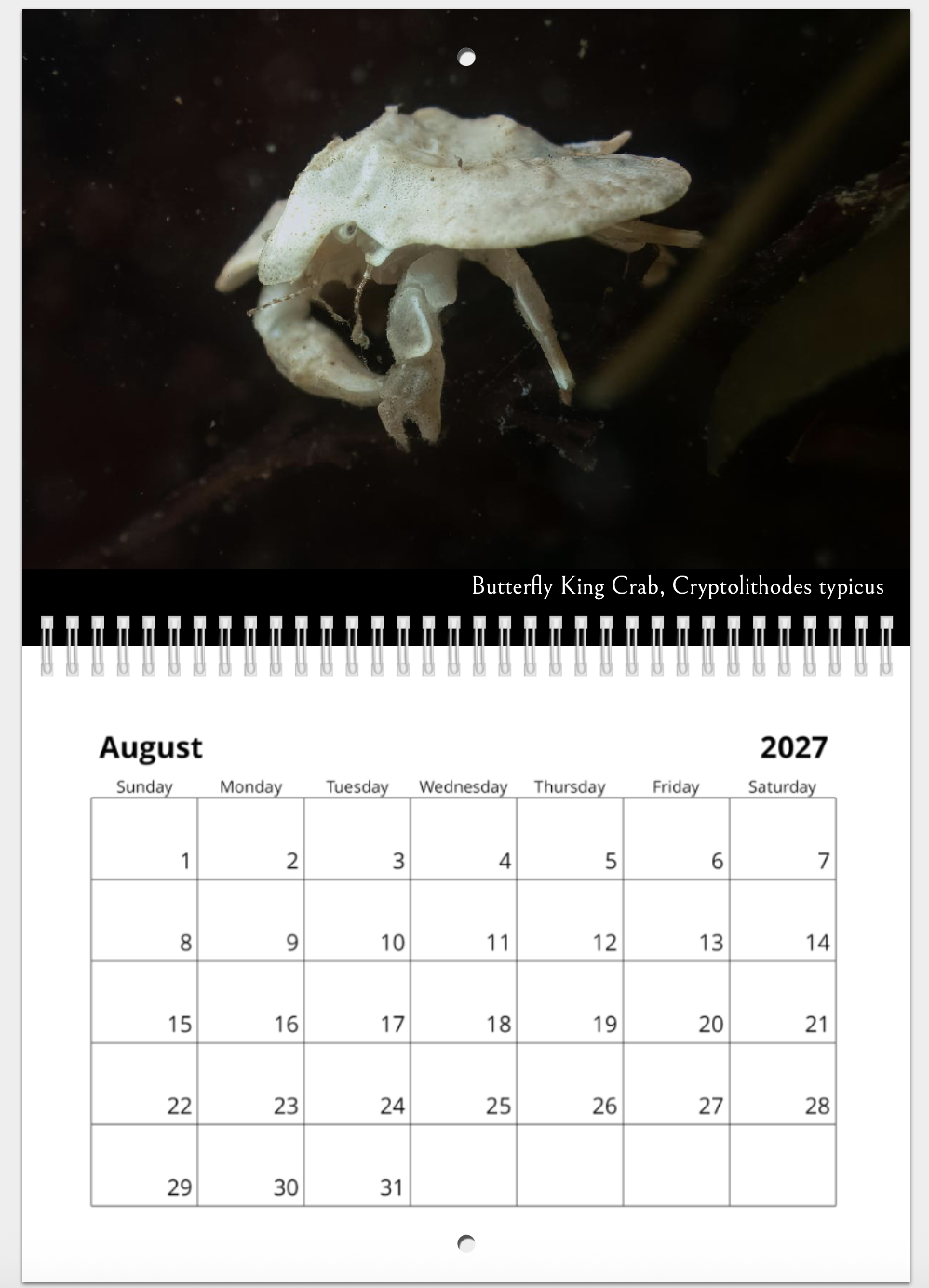 Screenshot 2026-10-29 at 10.27.52 AM.png