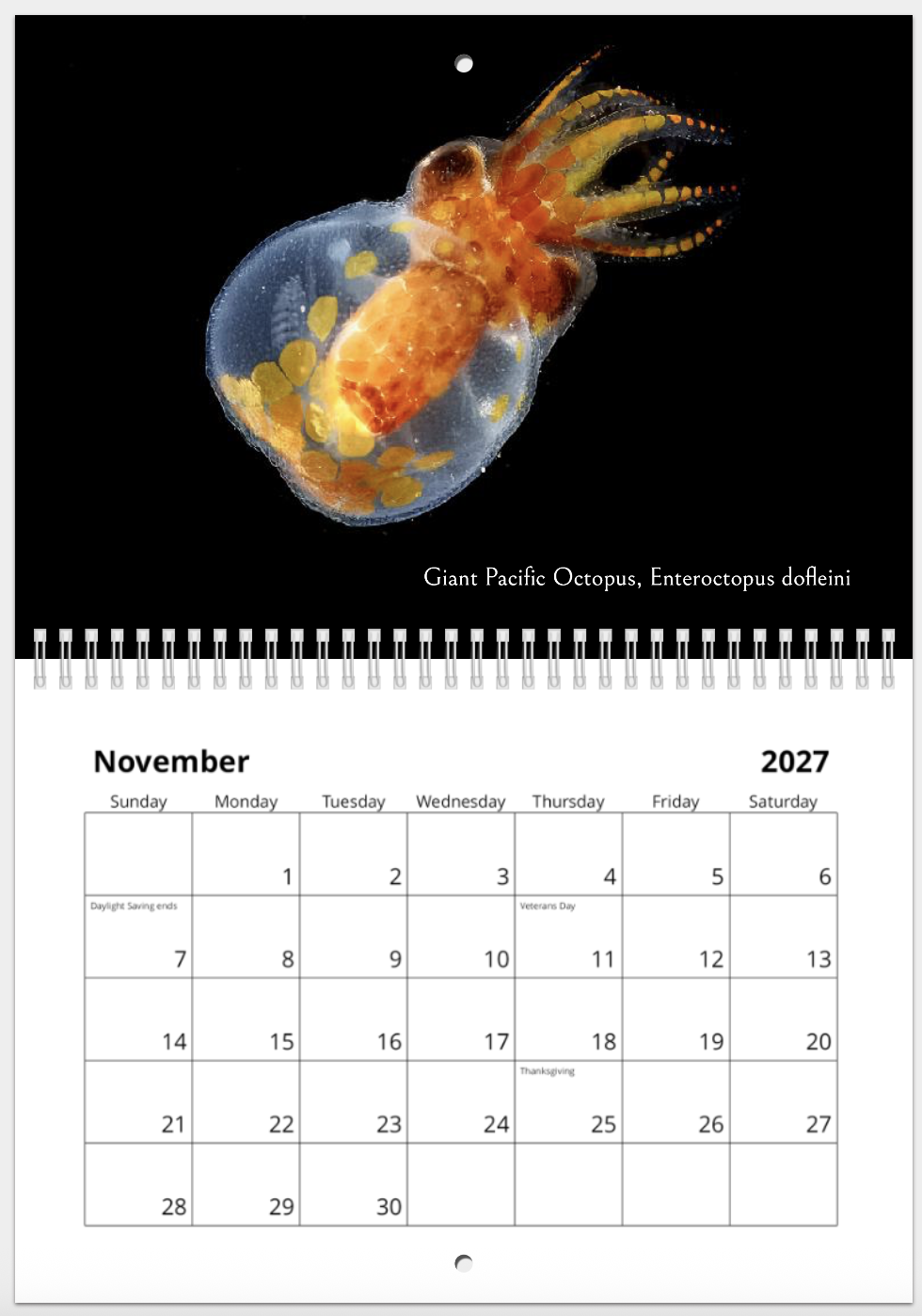 Screenshot 2026-10-29 at 10.28.22 AM.png