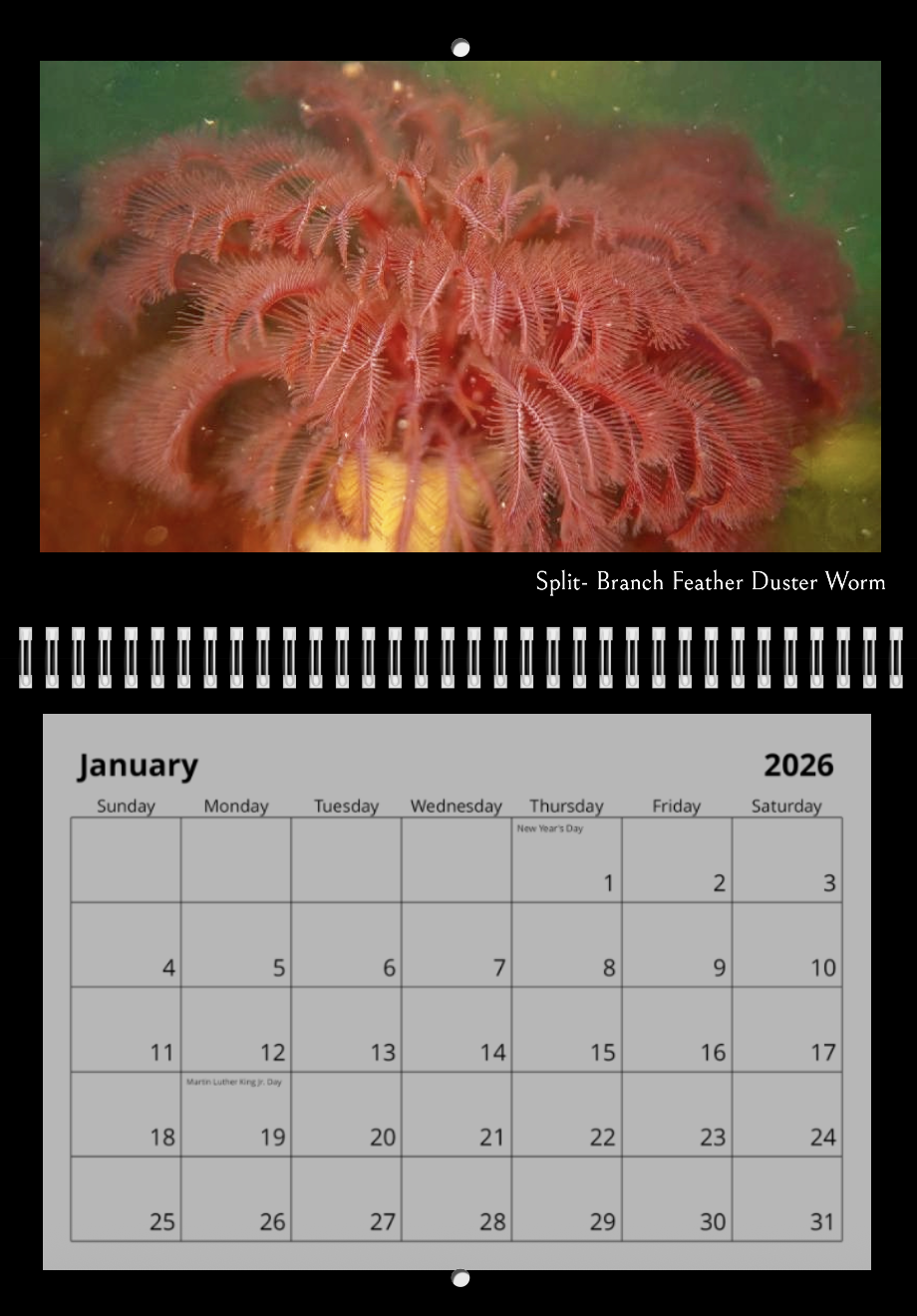 Screenshot 2025-11-04 at 5.17.16 AM.png