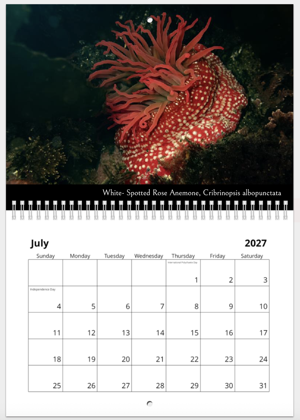 Screenshot 2026-10-29 at 10.26.54 AM.png