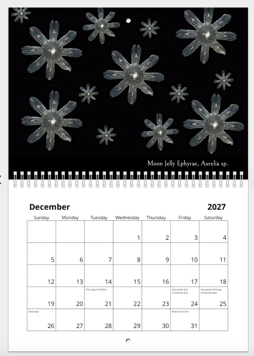 Screenshot 2026-10-29 at 10.28.30 AM.png