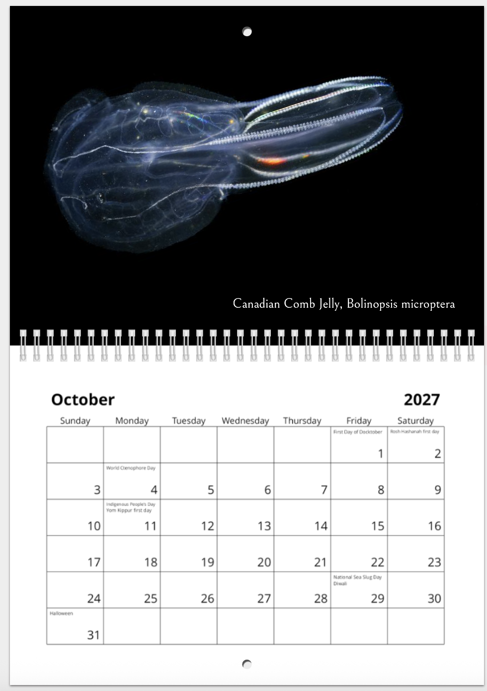 Screenshot 2026-10-29 at 10.28.07 AM.png