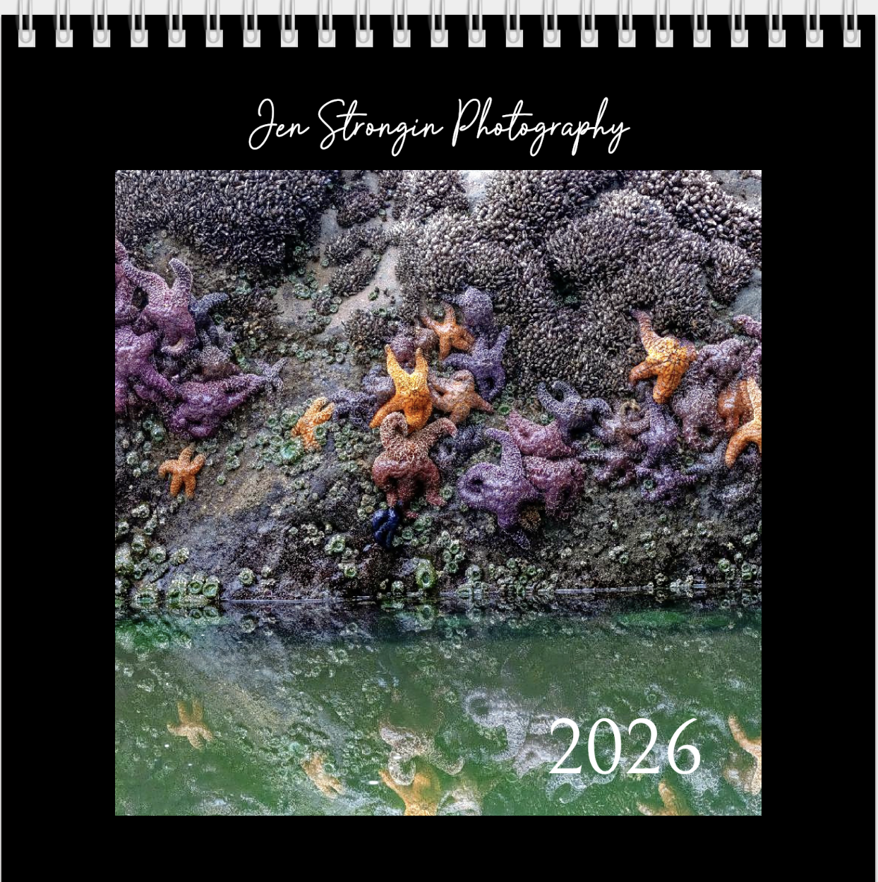 Screenshot 2025-11-04 at 6.02.47 AM.png