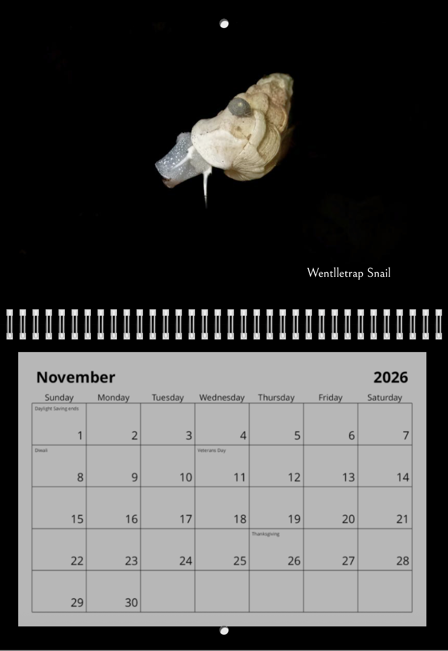 Screenshot 2025-11-04 at 5.18.34 AM.png