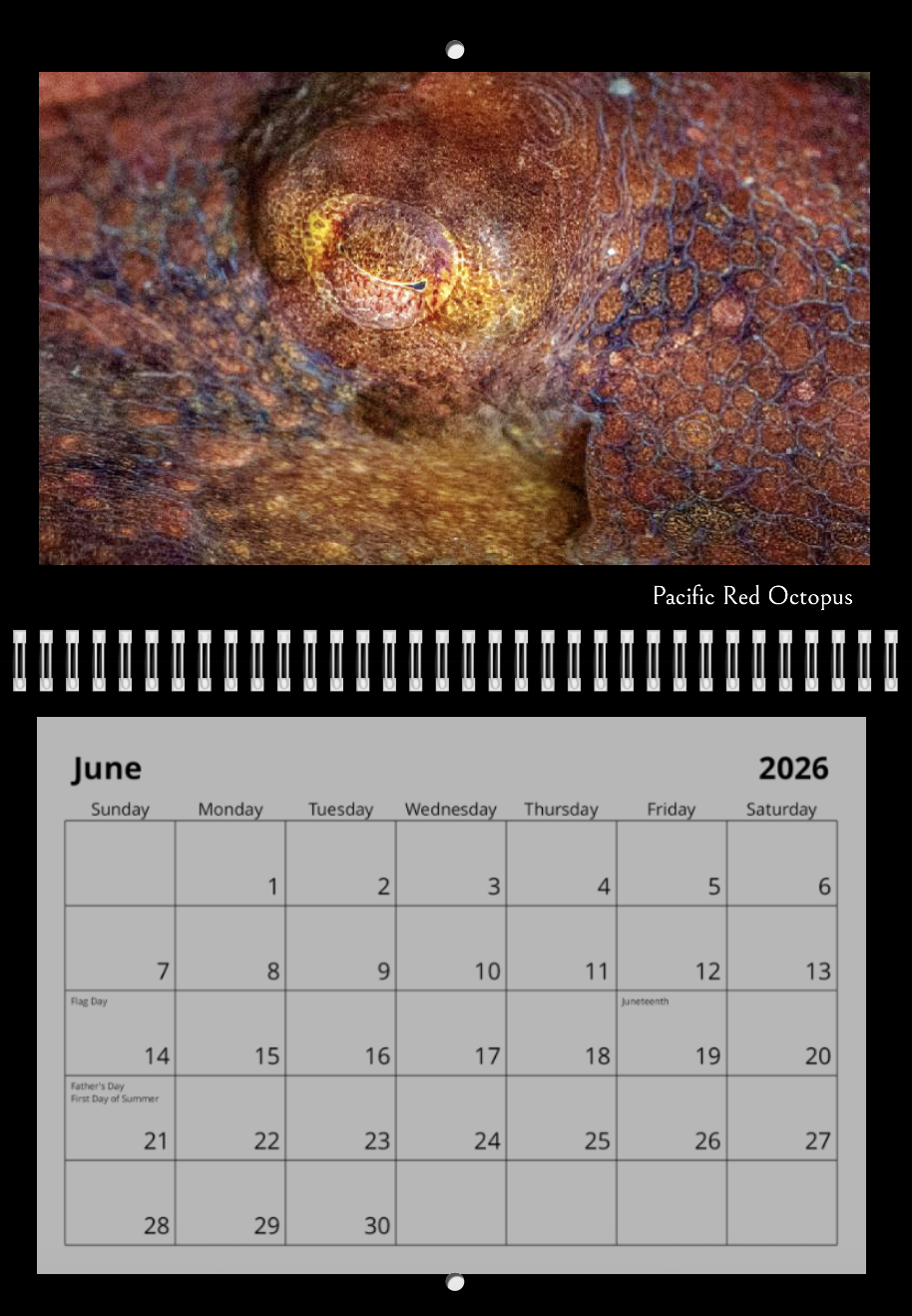 Screenshot 2025-11-04 at 5.17.54 AM.png