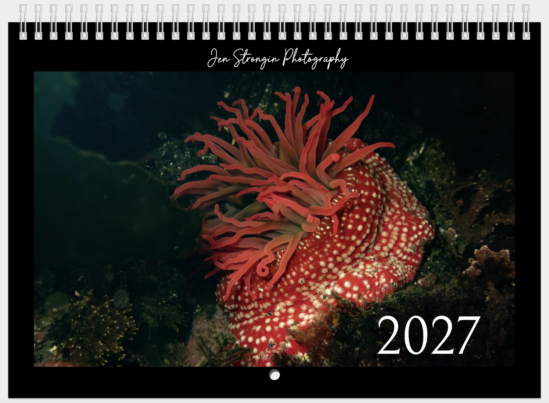 Screenshot 2026-10-29 at 10.25.48 AM.png