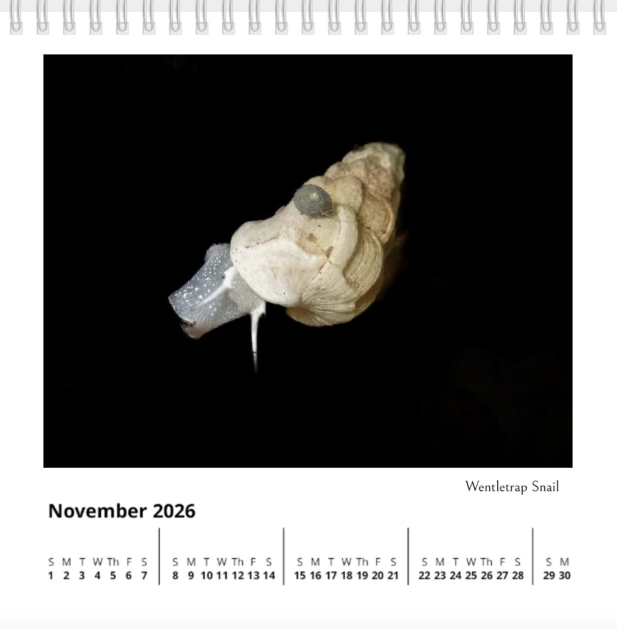 Screenshot 2025-11-04 at 6.04.02 AM.png