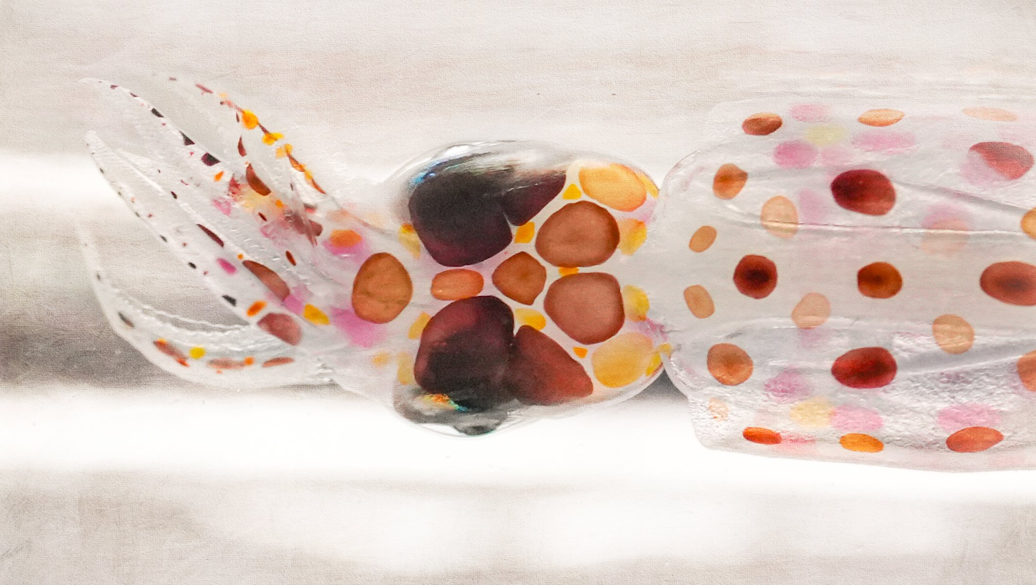 Opalescent Squid