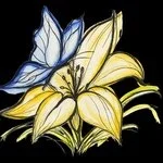 Lily_Clinic_Logo_Email_Thumbnail.jpeg